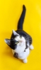 📱見上げる黒と白のブチ猫 Google Pixel 7 Pro 壁紙・待ち受け