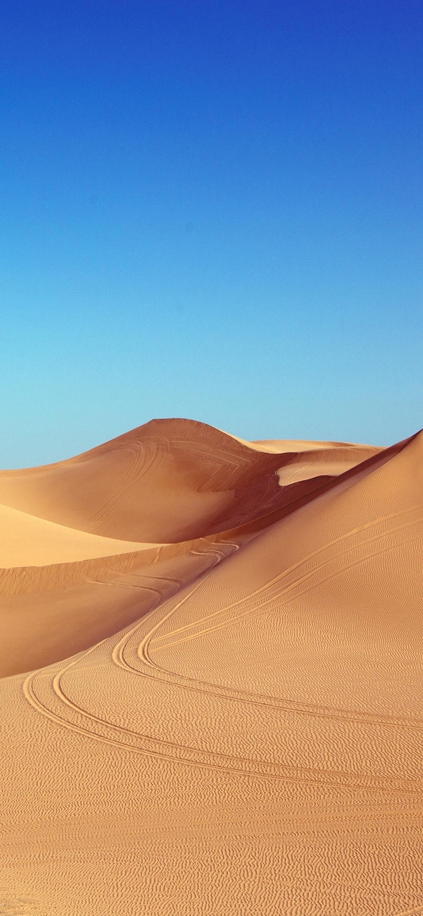 美しいサハラ砂漠 iPhone11のスマホ壁紙・待ち受け