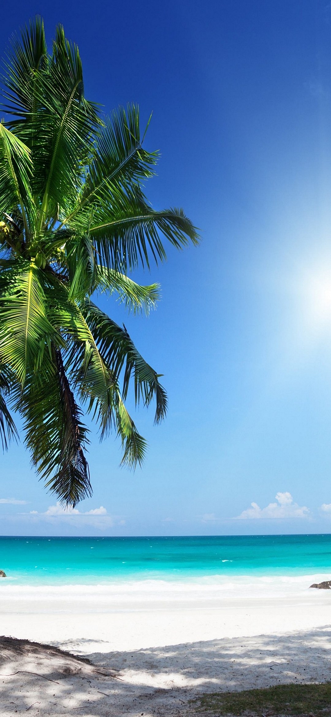 椰子の木 ビーチ 白い砂浜 Galaxy A30 Android スマホ壁紙 待ち受け スマラン