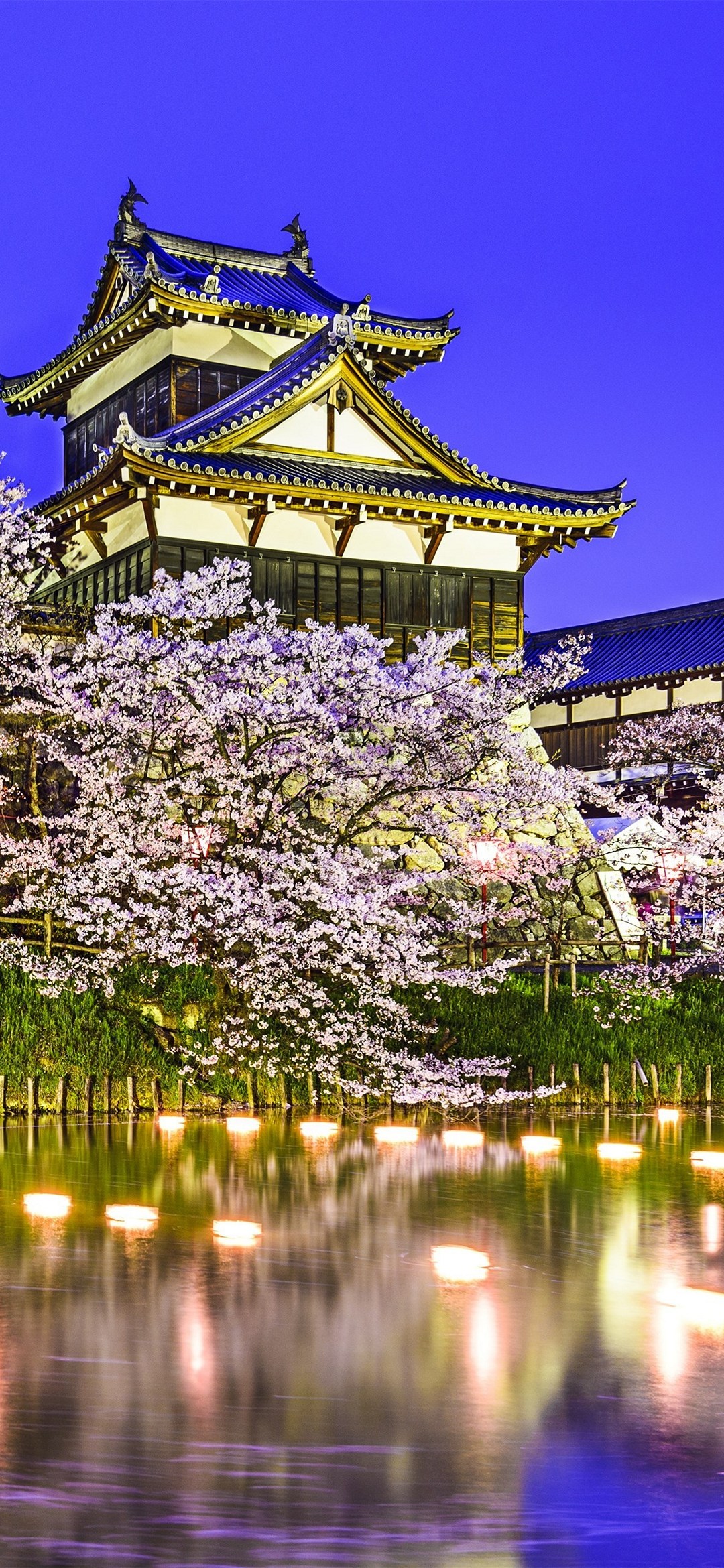綺麗な姫路城と夜桜 Iphone 12 Mini スマホ壁紙 待ち受け スマラン