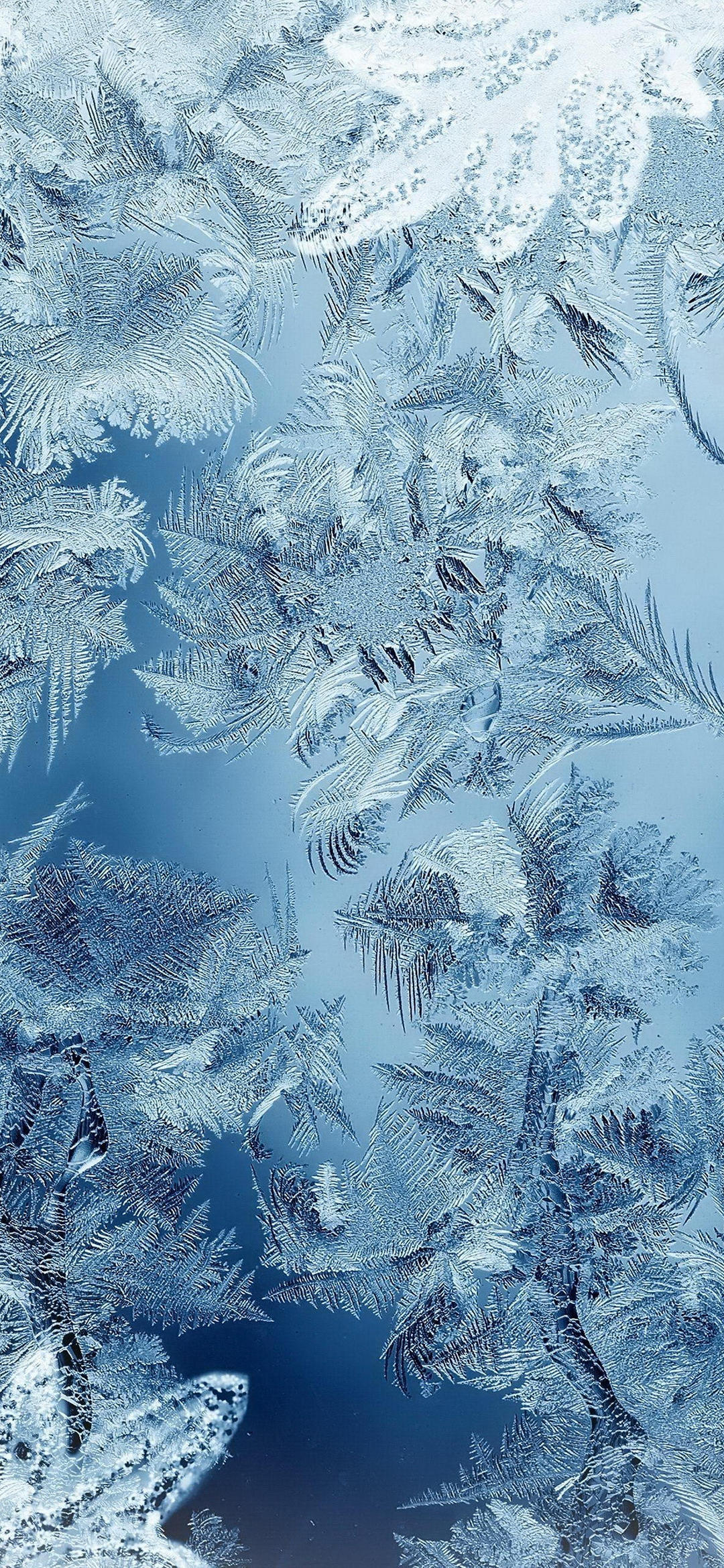 冬 綺麗な樹氷 Google Pixel 4a Android スマホ壁紙 待ち受け スマラン