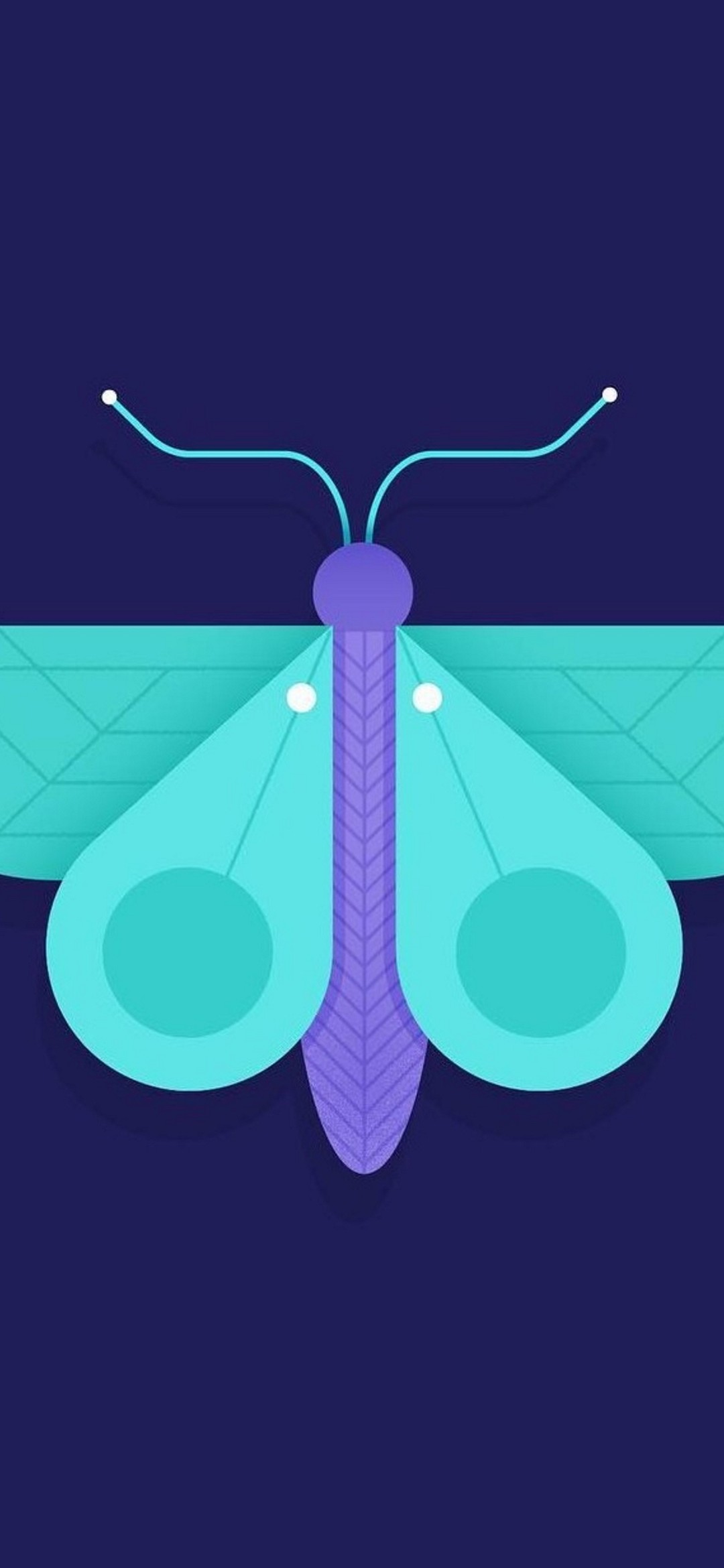 紫の蝶のイラスト Google Pixel 5 Android スマホ壁紙 待ち受け スマラン