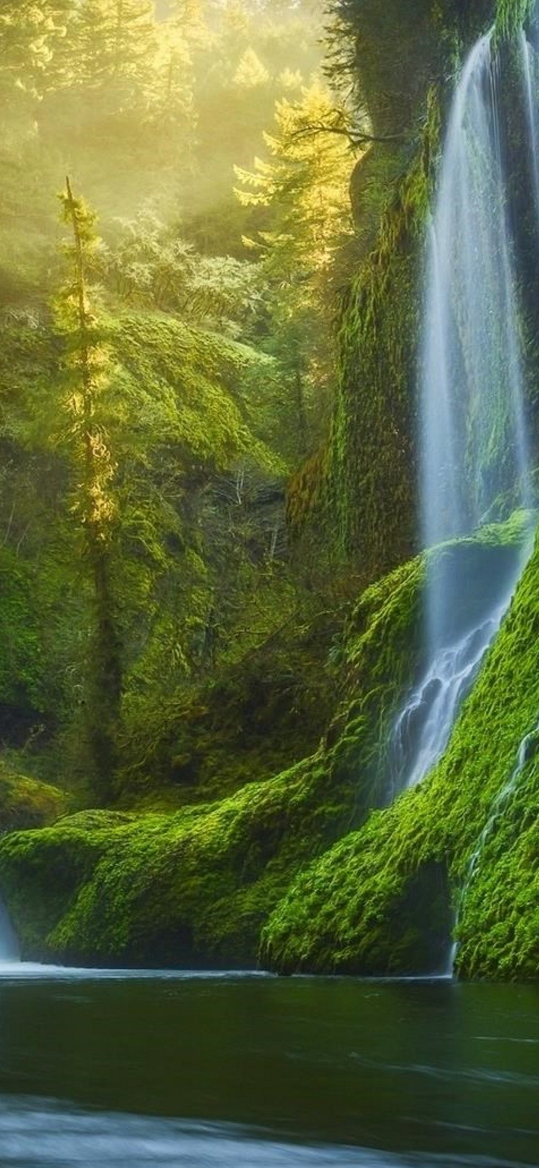 苔が多い森林と滝 Galaxy A30 Android スマホ壁紙 待ち受け スマラン