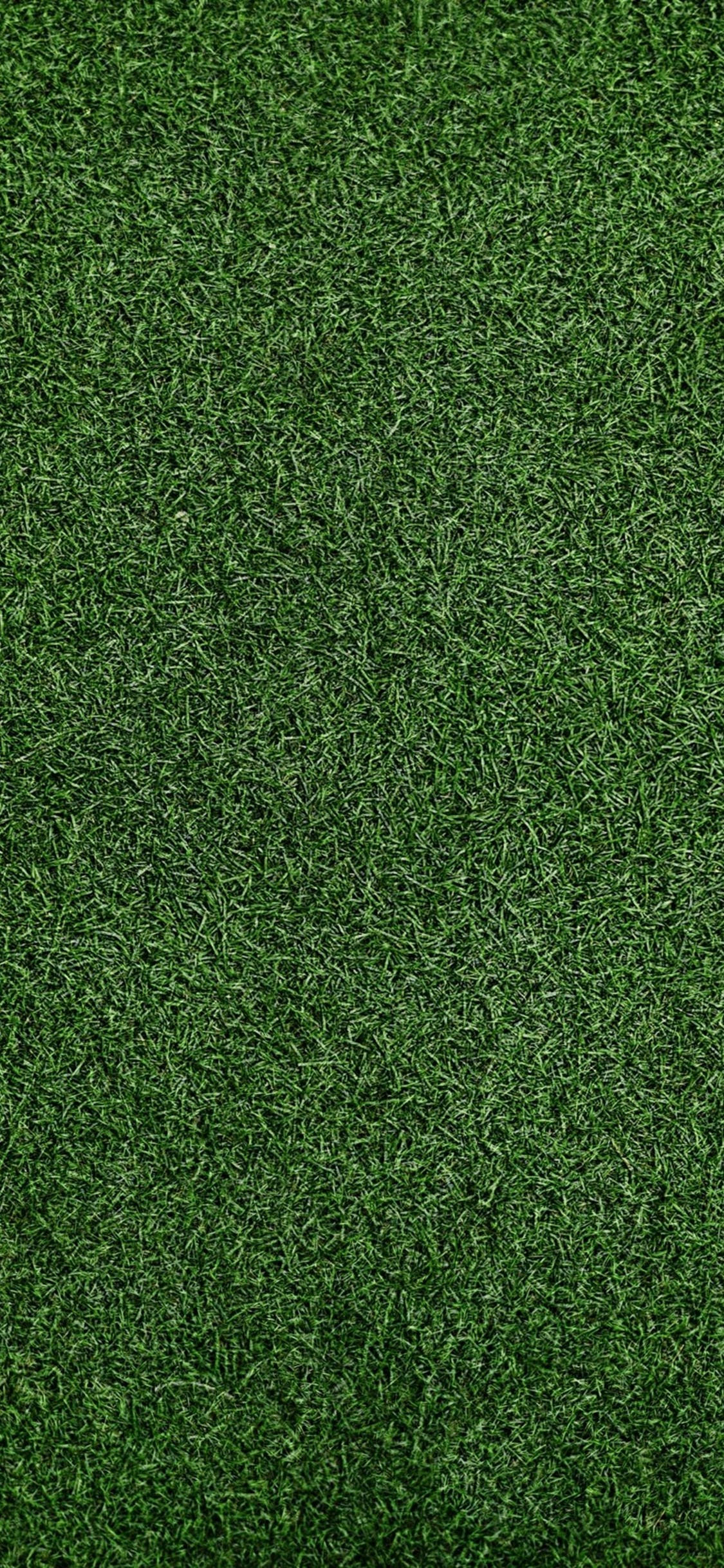 画面一面の緑の芝生 Iphone Xs スマホ壁紙 待ち受け スマラン