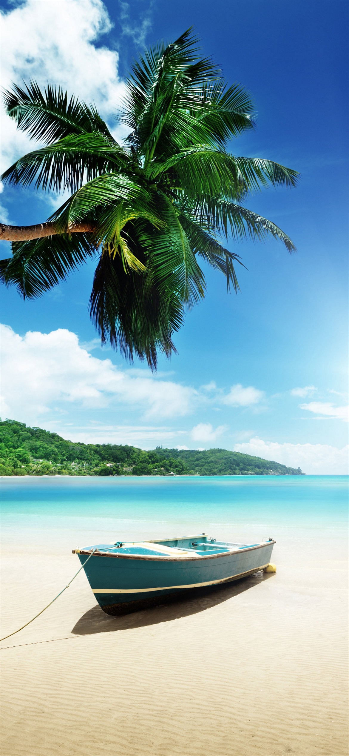 一隻の水色のボートと椰子の木と青空と水色の海 Iphone 12 Pro スマホ壁紙 待ち受け スマラン