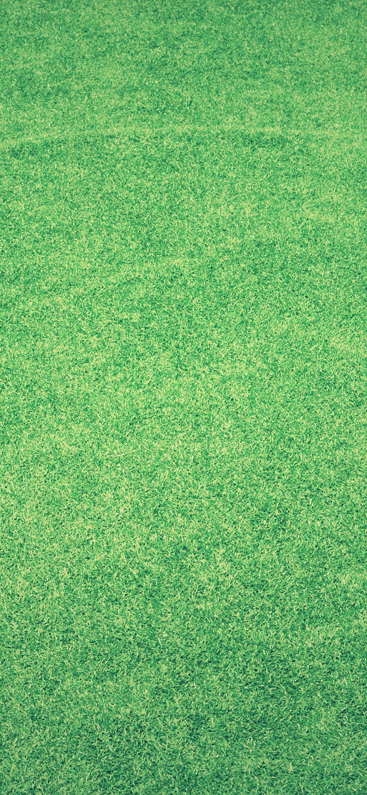 綺麗に刈り取られた芝生 Iphone 12 スマホ壁紙 待ち受け スマラン