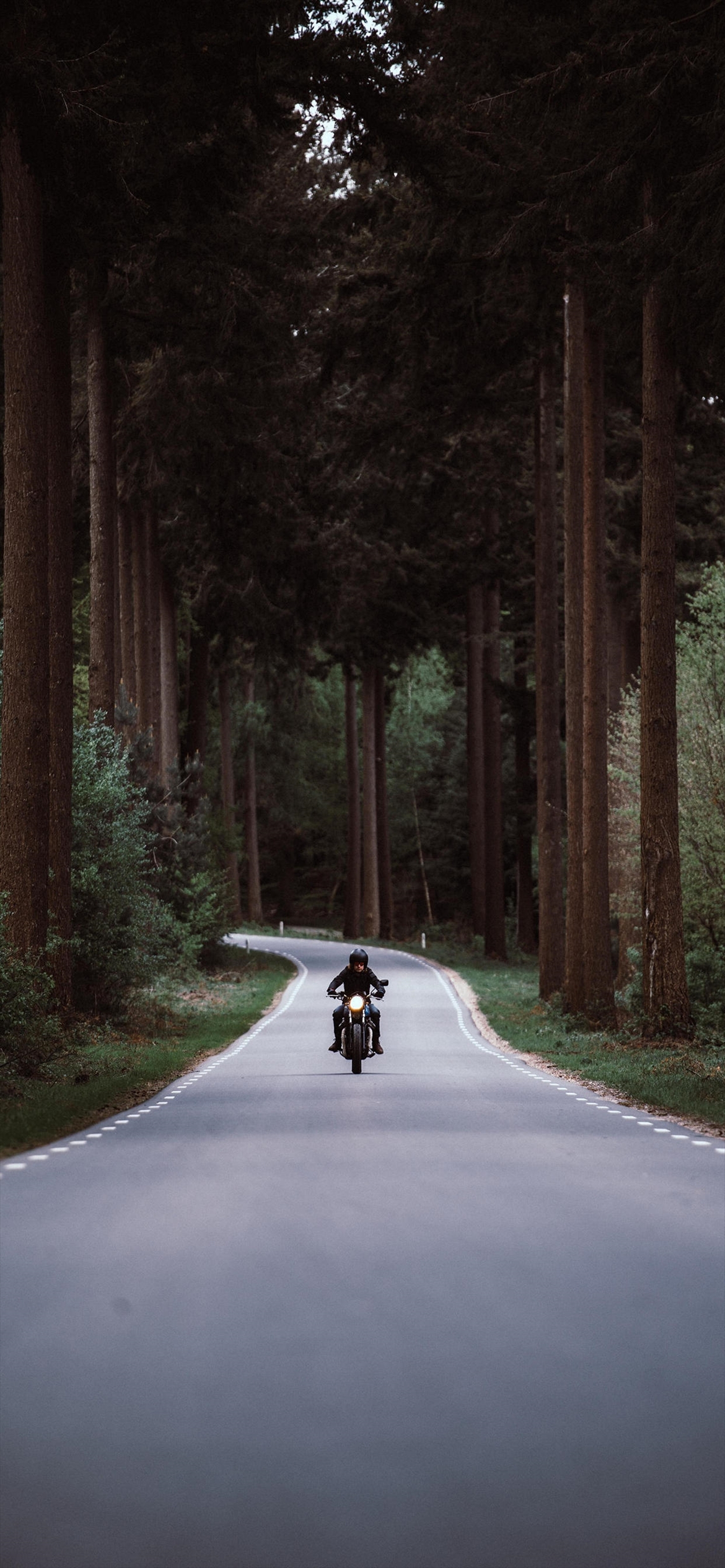 森の道路を疾走するバイク Iphone 12 Pro スマホ壁紙 待ち受け スマラン