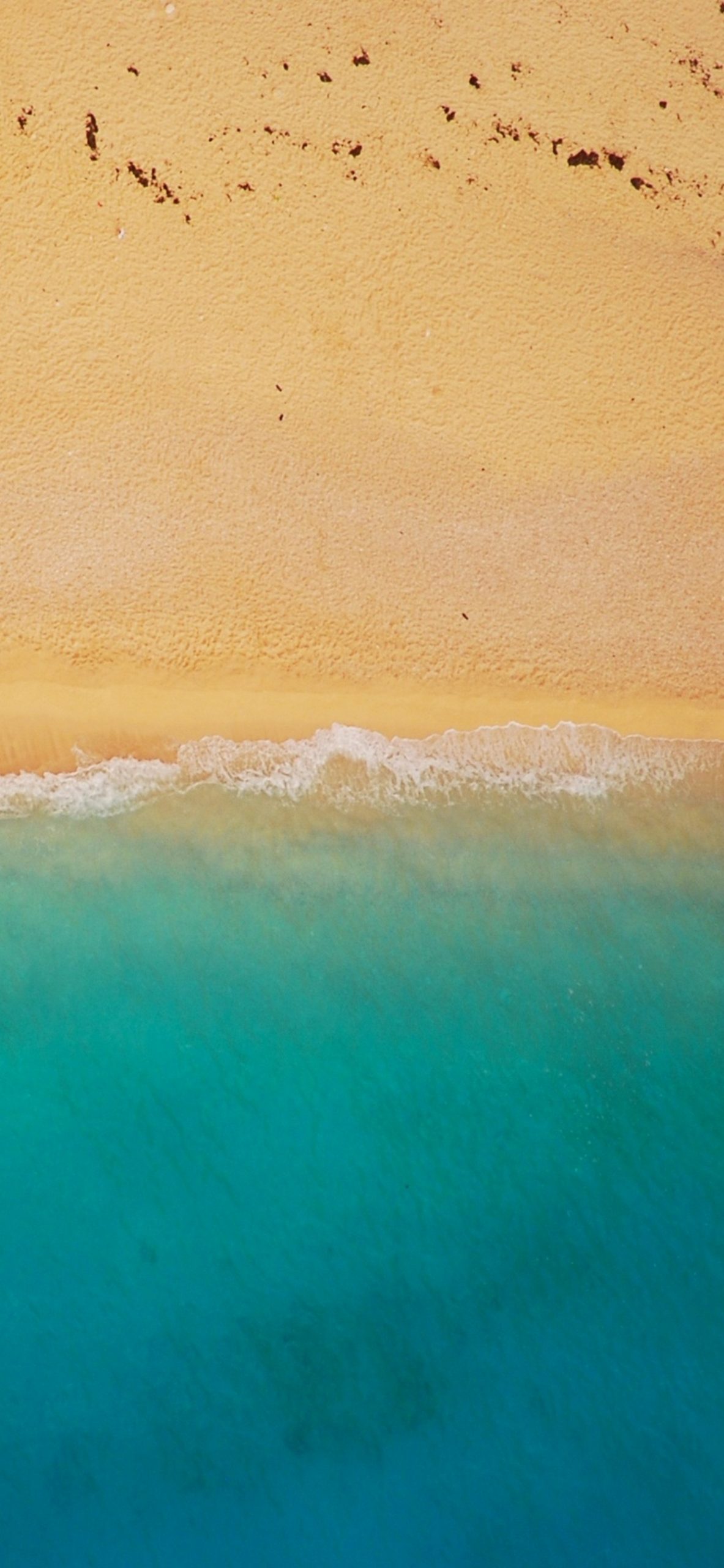 俯瞰視点の緑の海と砂浜 Iphone 12 Pro Max 壁紙 待ち受け スマラン