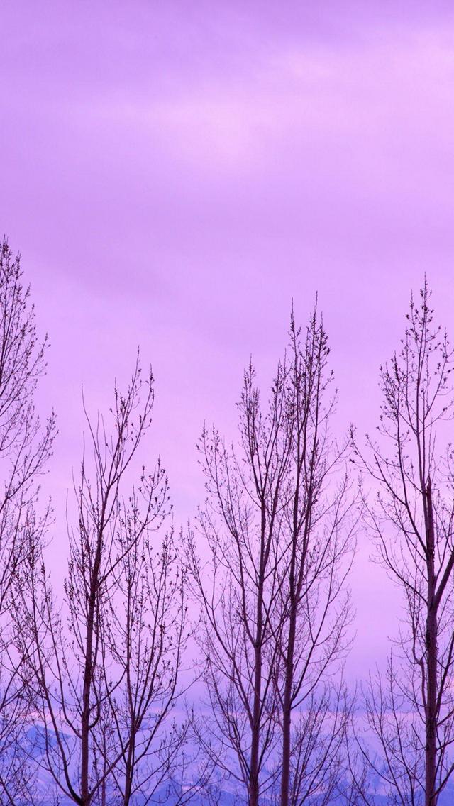 冬 紫の景色 Iphone Se 第1世代 スマホ壁紙 待ち受け スマラン