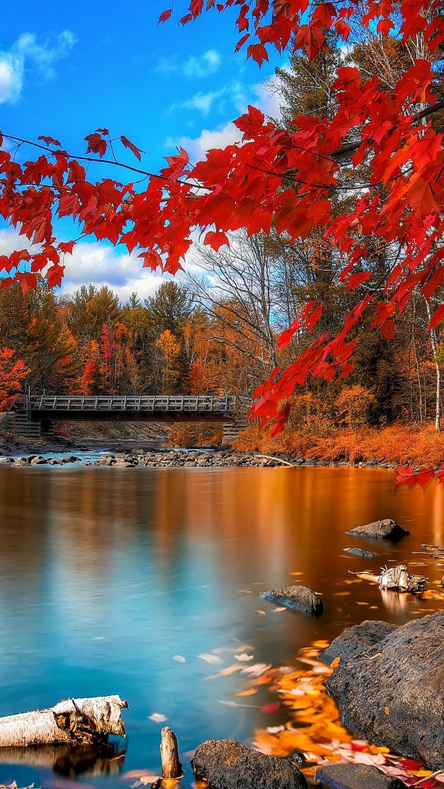 綺麗な青空と紅葉と川 Iphone Se 第1世代 スマホ壁紙 待ち受け スマラン