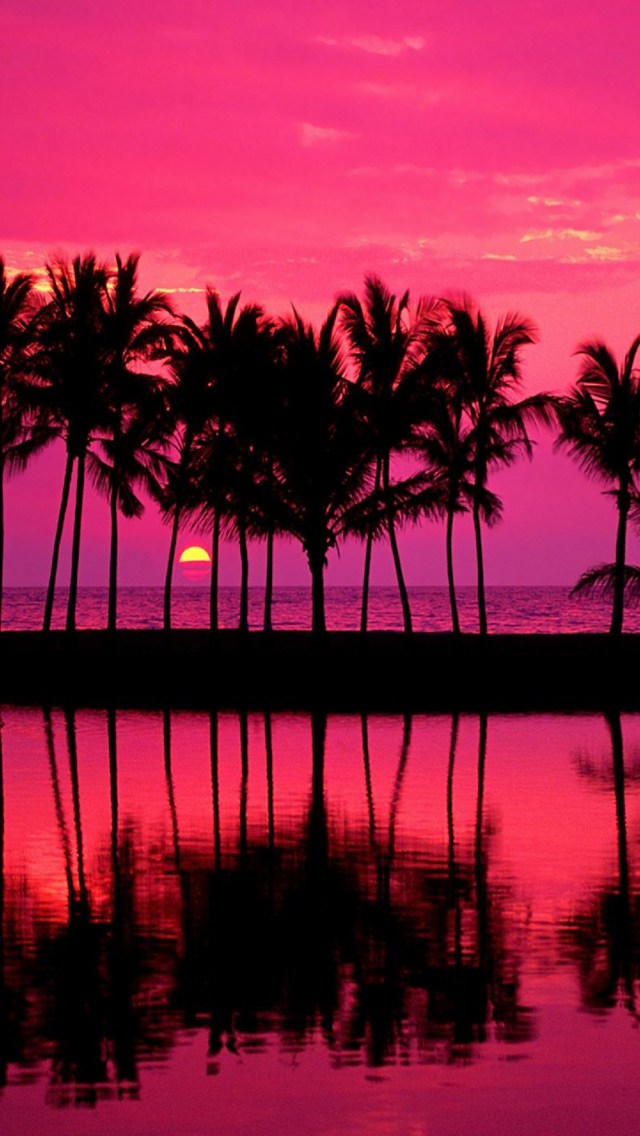 ピンクの海と椰子の木 Iphone 5 スマホ壁紙 待ち受け スマラン