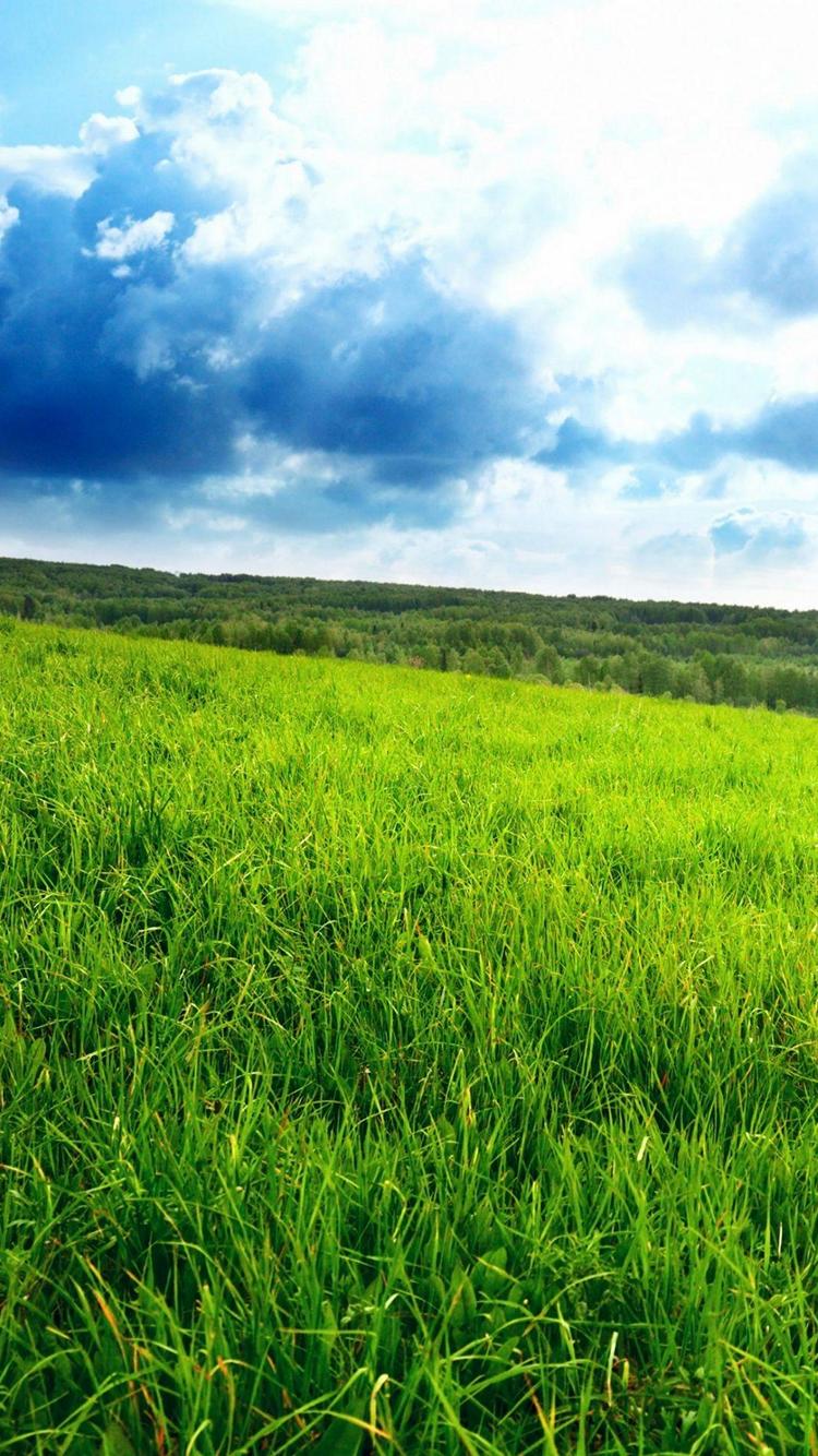 綺麗な青空と緑の大草原 Iphone 7 スマホ壁紙 待ち受け スマラン