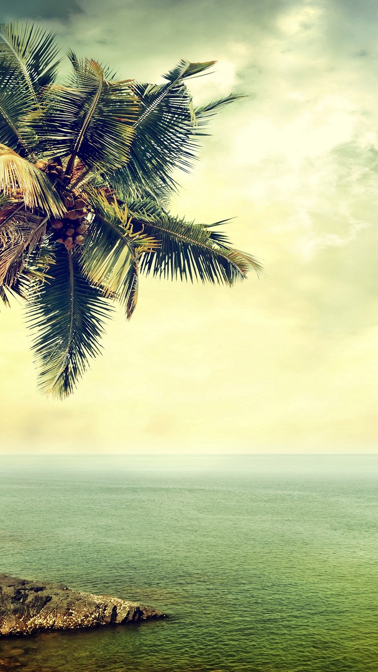グアムの綺麗な海と椰子の木 Iphone 8 スマホ壁紙 待ち受け スマラン