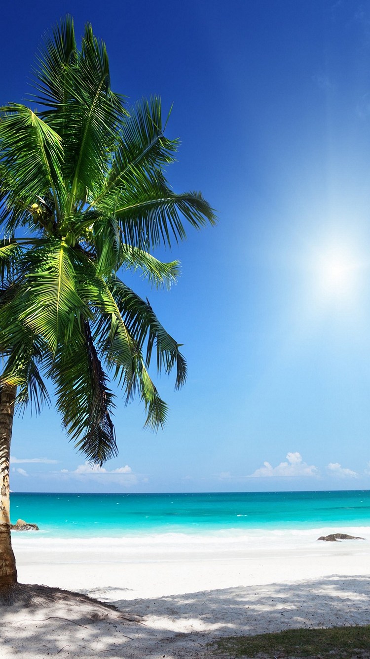 熱帯 綺麗なビーチ 太陽 Iphone Se 第2世代 スマホ壁紙 待ち受け スマラン