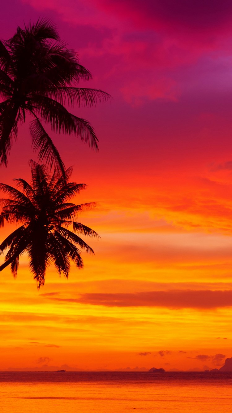 赤紫の夕日と椰子の木 Iphone 6 壁紙 待ち受け スマラン