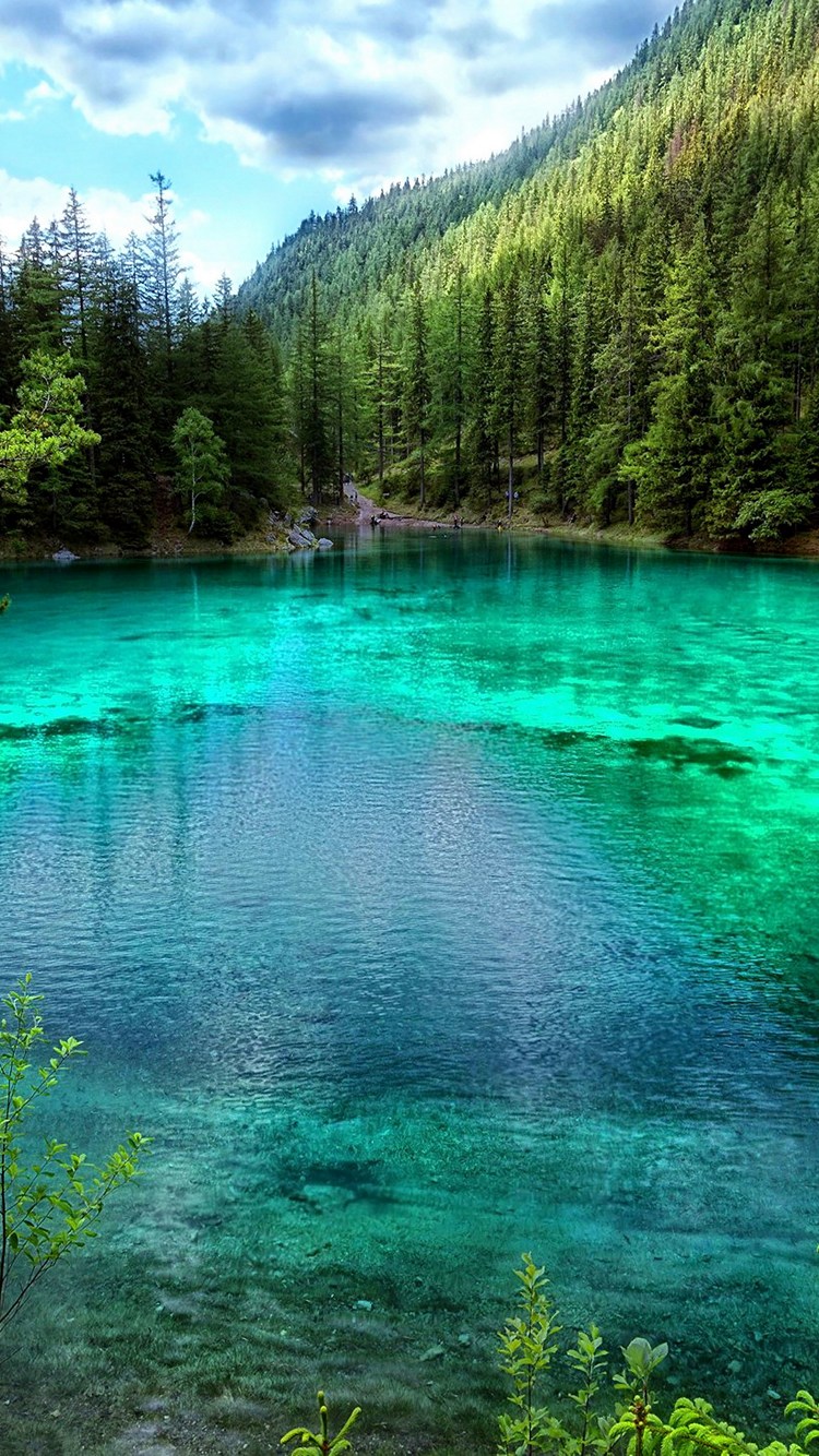 綺麗な緑の森林と緑の澄んだ池 Iphone 6 壁紙 待ち受け スマラン