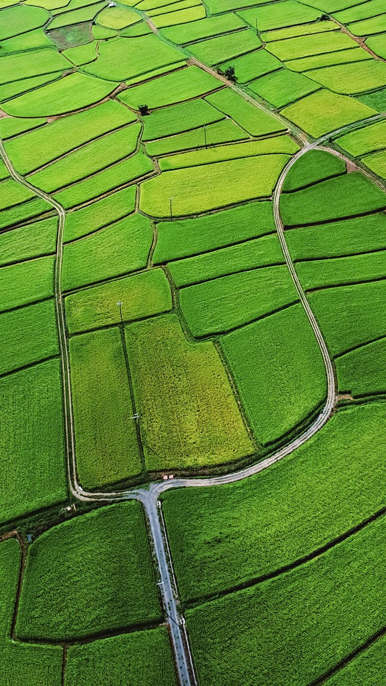 緑の田園風景 田舎 Iphone 8 壁紙 待ち受け スマラン