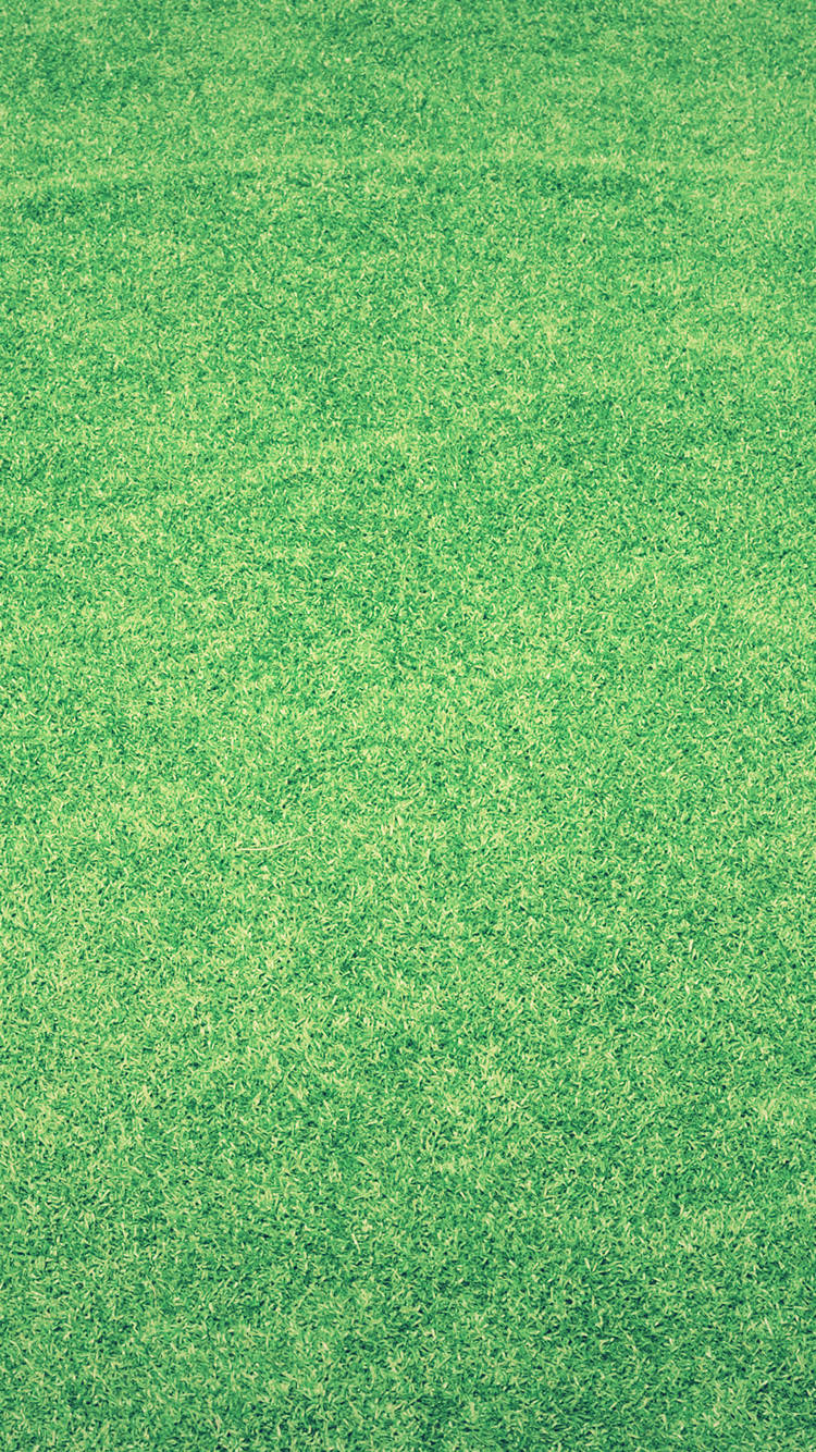 整った緑の芝生 Iphone 8 スマホ壁紙 待ち受け スマラン