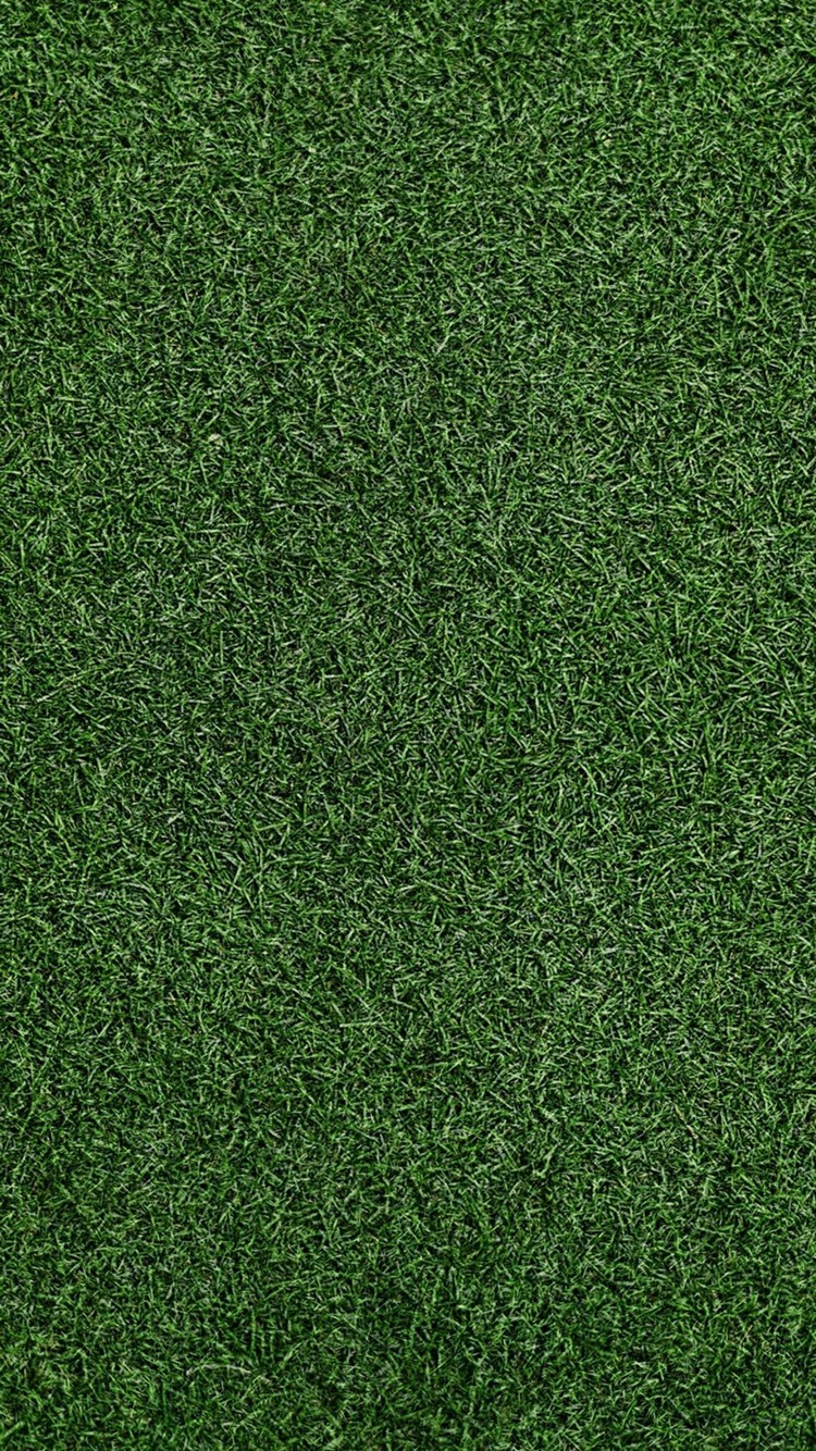 整えられた濃い緑の芝生 Iphone 6 スマホ壁紙 待ち受け スマラン