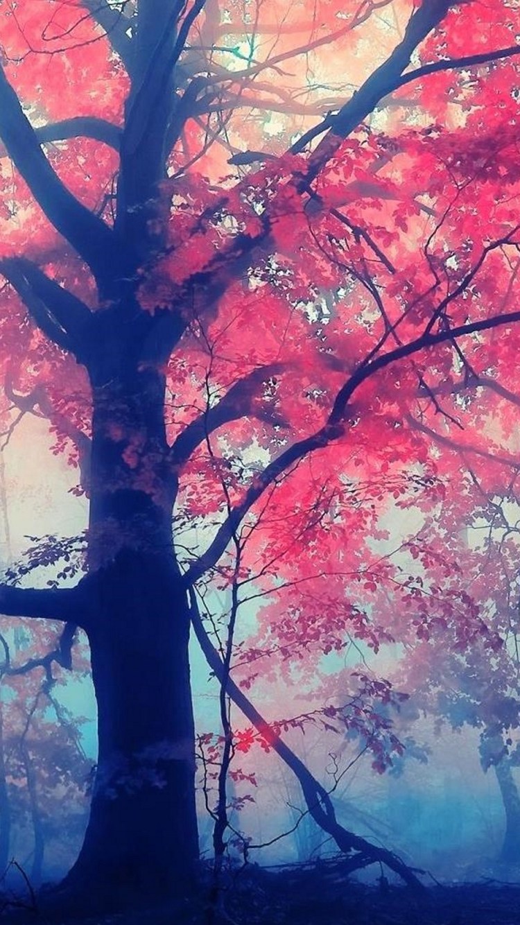 秋 綺麗な紅葉 Iphone 6 壁紙 待ち受け スマラン