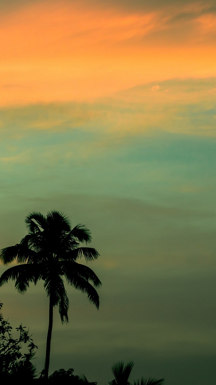 ハワイ オレンジに染まる空と椰子の木 Iphone 7 スマホ壁紙 待ち受け スマラン