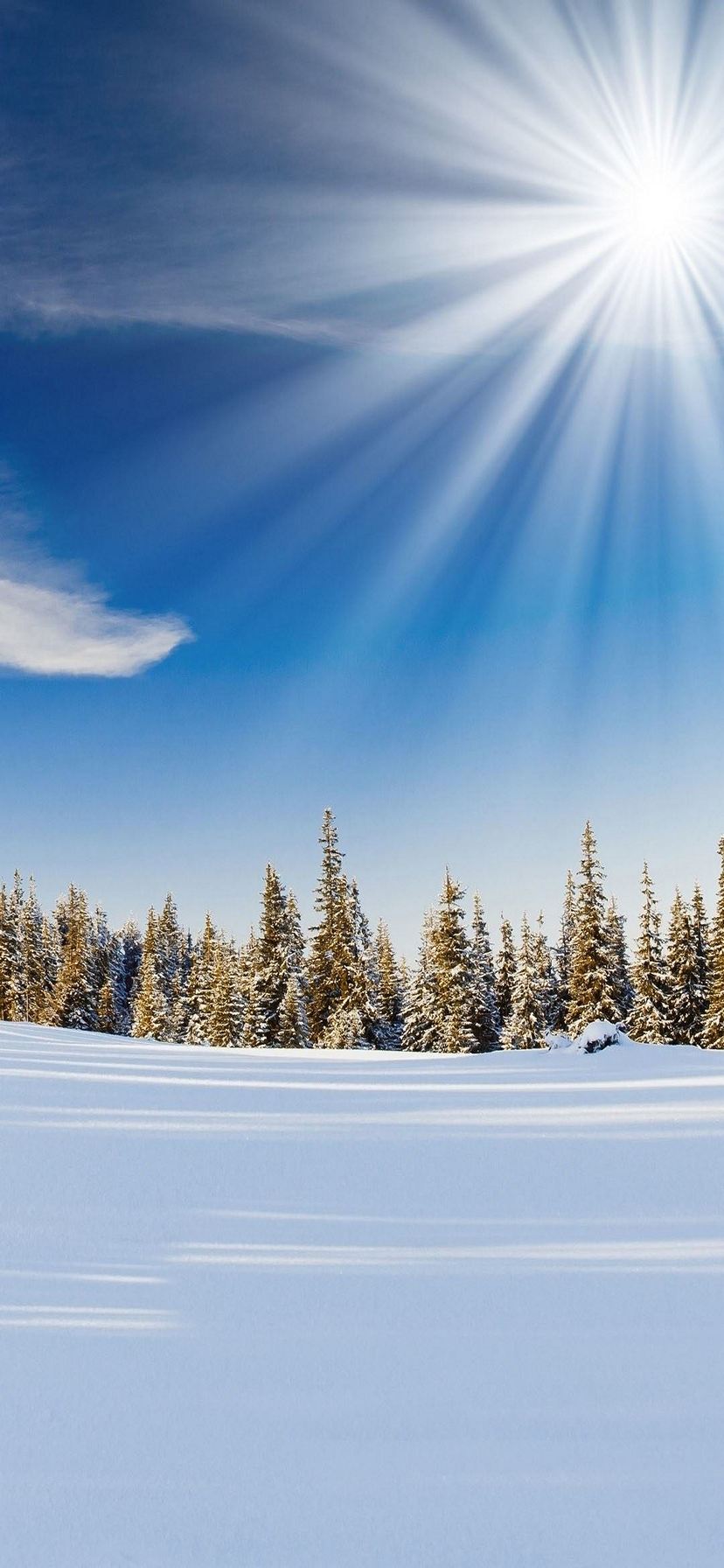 太陽と雪景色 Iphone Xr スマホ壁紙 待ち受け スマラン