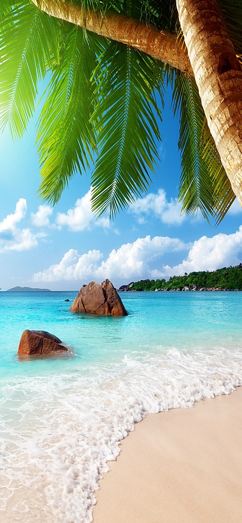 綺麗な南国の海と椰子の木 Iphone Xr スマホ壁紙 待ち受け スマラン