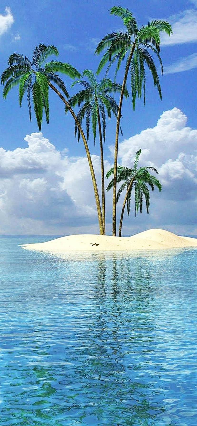 椰子の木 小さな孤島 Iphone 11 スマホ壁紙 待ち受け スマラン