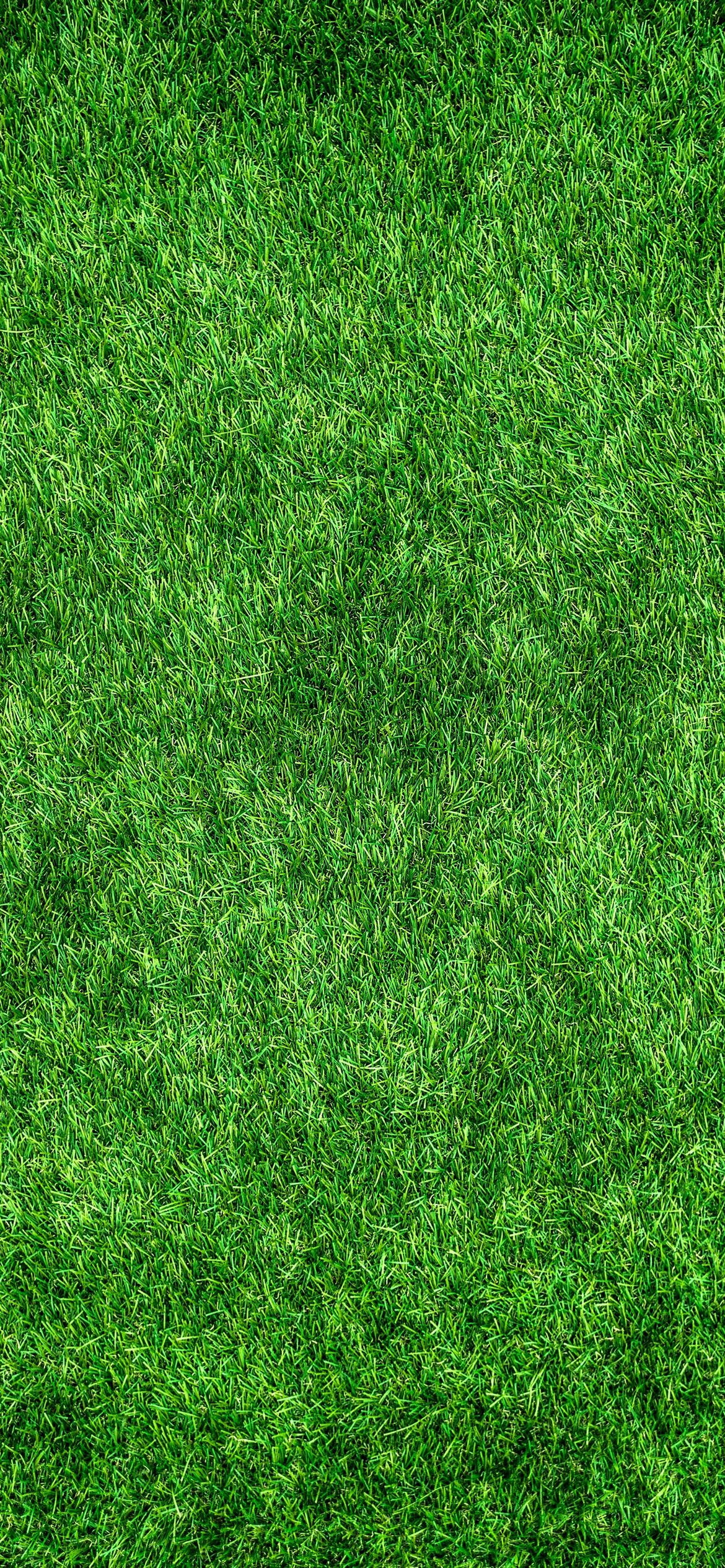 綺麗な緑の芝生 Iphone 12 Pro スマホ壁紙 待ち受け スマラン