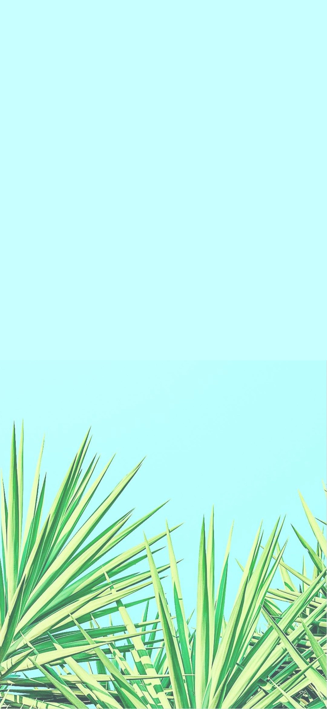 綺麗な空と淡い水色の空 Zenfone 6 Android スマホ壁紙 待ち受け スマラン