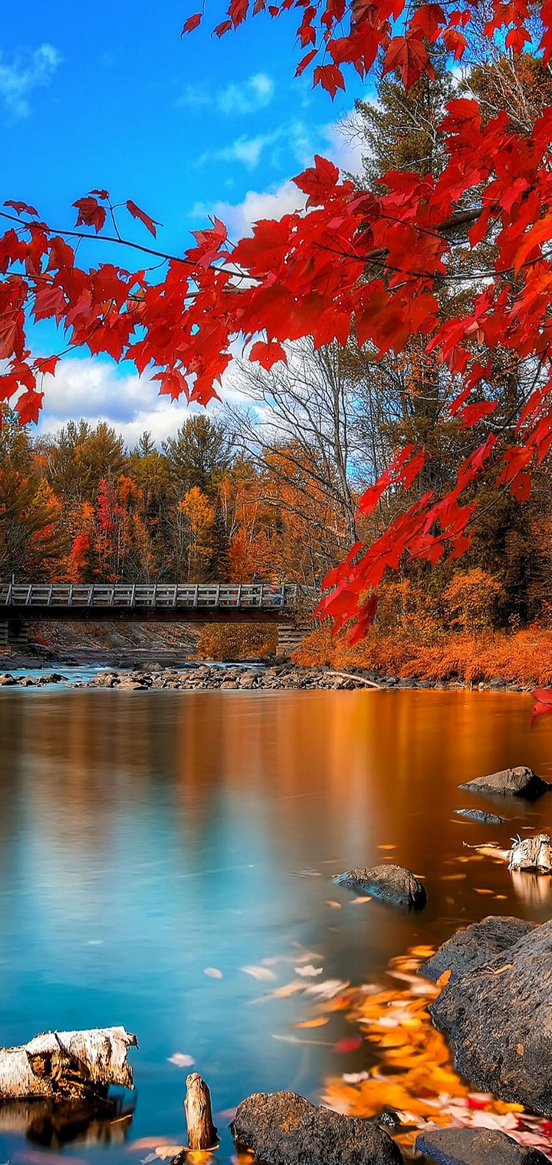 綺麗な紅葉 冷たい湖 木の桟橋 Oppo R15 Pro Androidスマホ壁紙 待ち受け スマラン