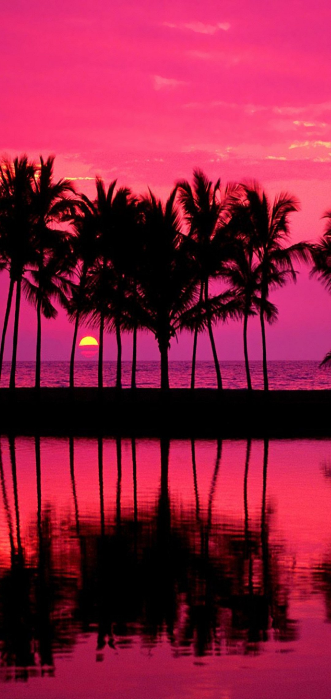 ピンクの海 椰子の木 夕日 ハワイ Moto G8 Plus 壁紙 待ち受け スマラン