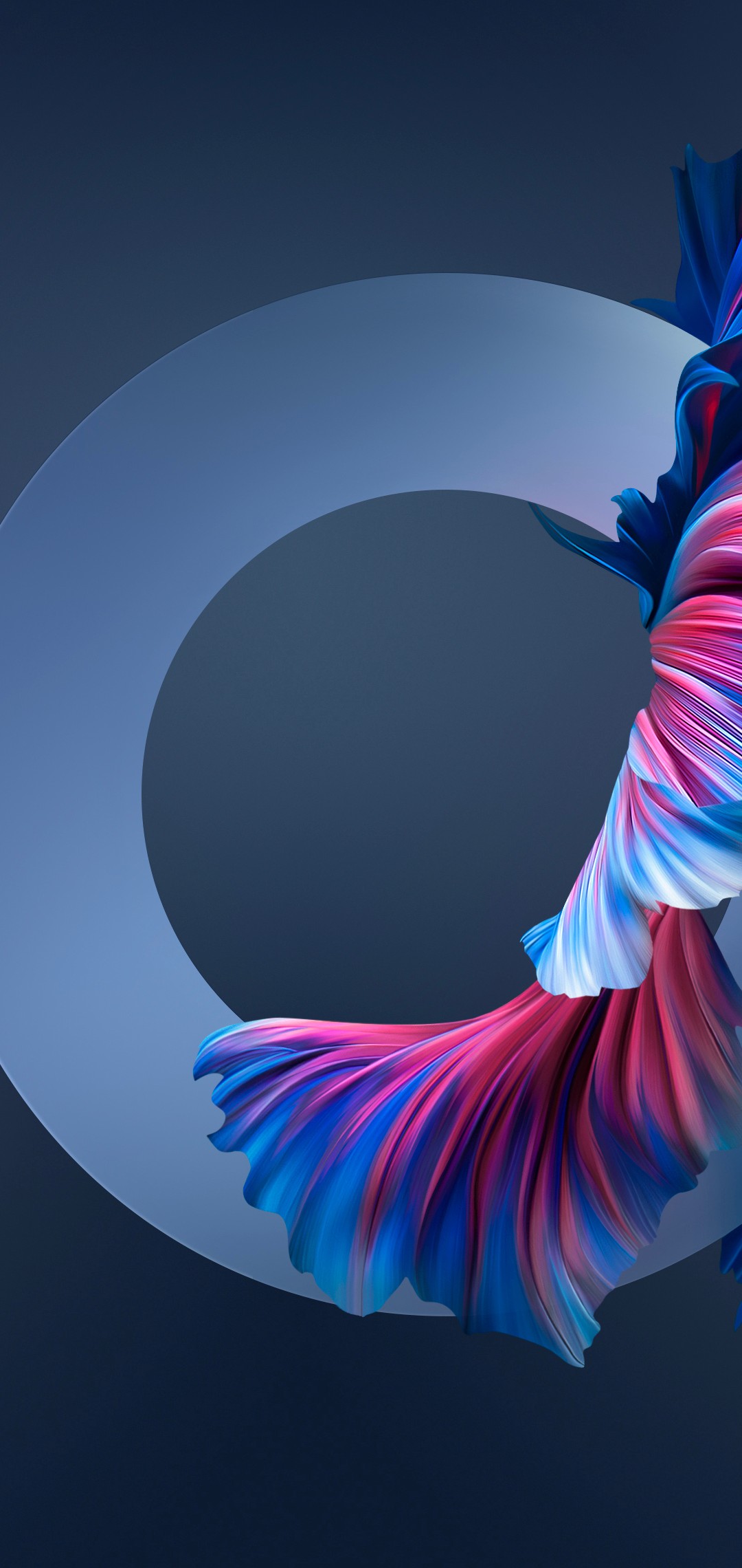 青 ピンク 金魚の尾 綺麗 Oppo R15 Pro Androidスマホ壁紙 待ち受け スマラン