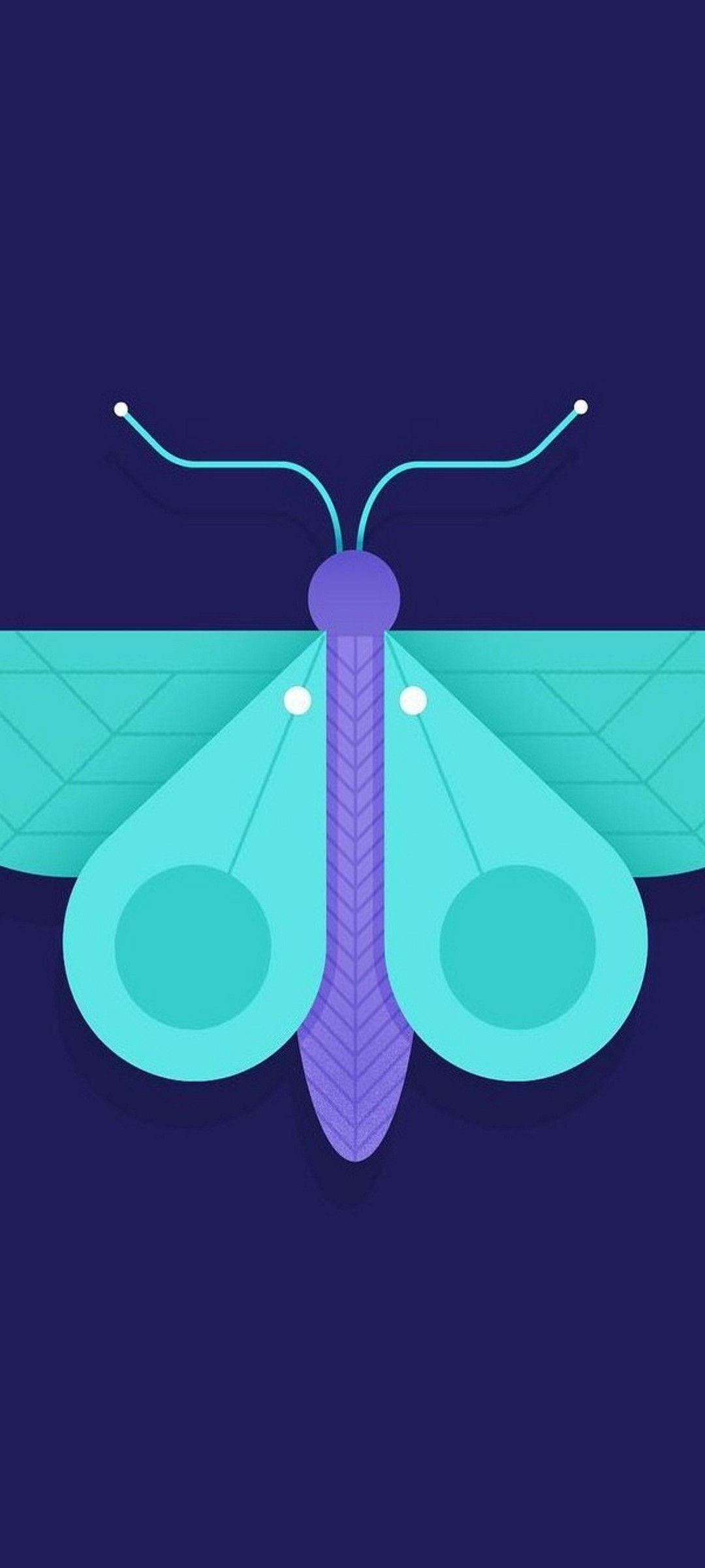紫 緑の蝶のアイコン Zenfone 7 Pro Androidスマホ壁紙 待ち受け スマラン