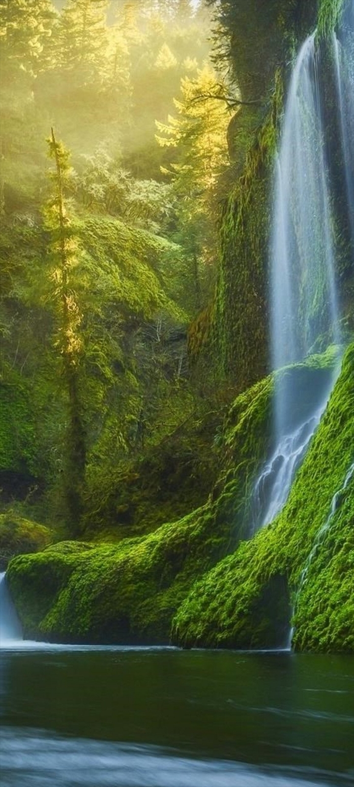 綺麗な滝と苔生した森と川 Moto G8 Power Lite 壁紙 待ち受け スマラン