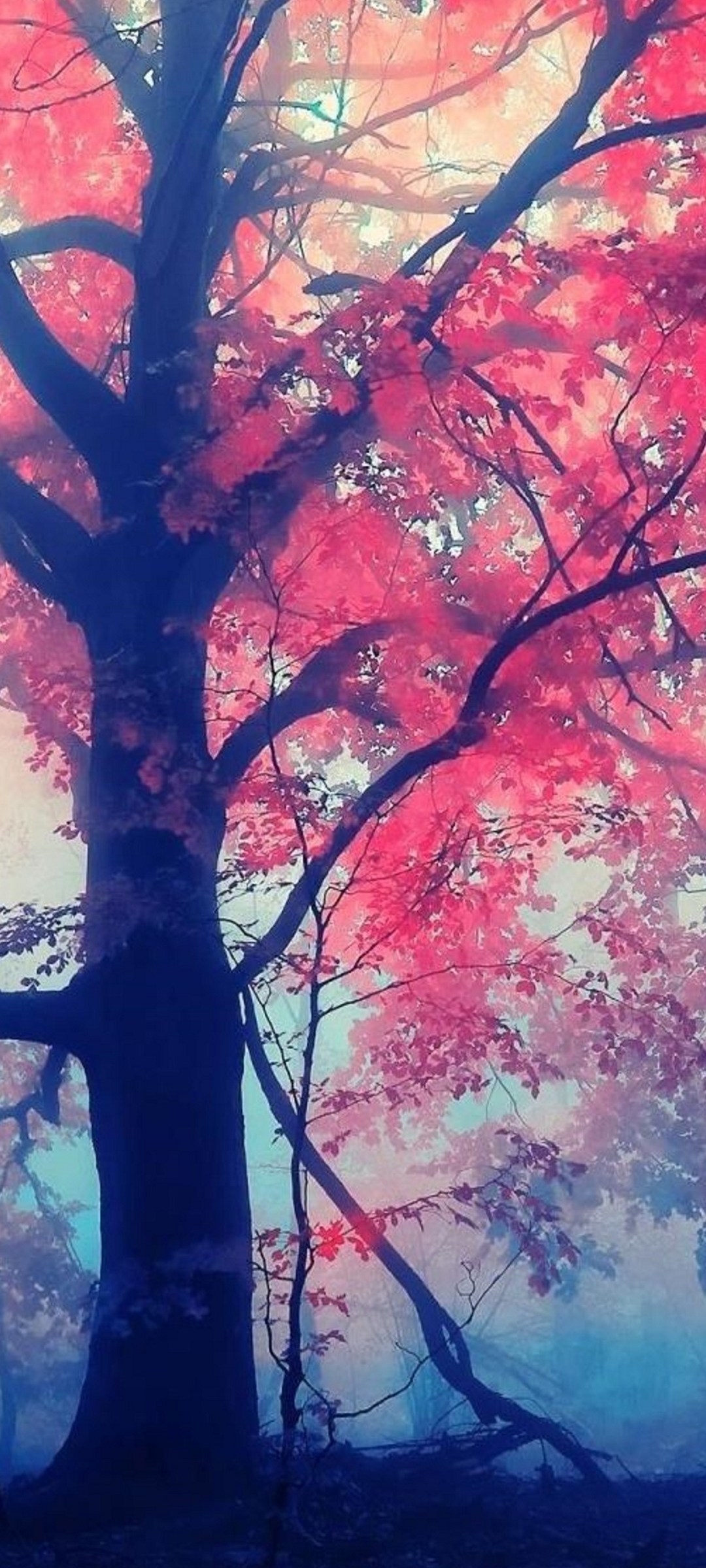 幻想的な森の大きな紅葉の樹 Oppo Reno5 A Androidスマホ壁紙 待ち受け スマラン