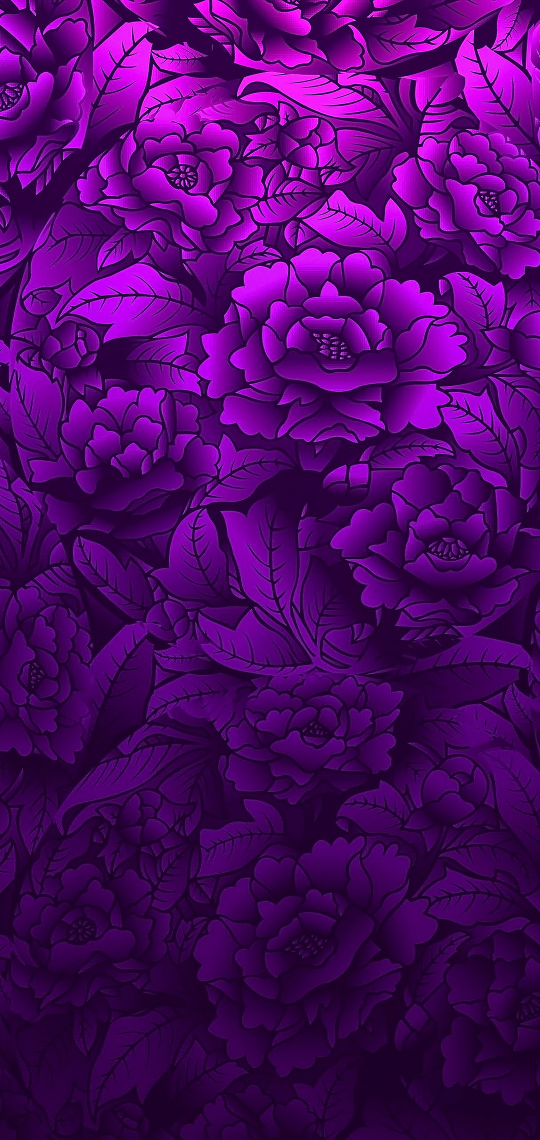 紫のグラデーションの薔薇 Aquos R2 Compact Androidスマホ壁紙 待ち受け スマラン