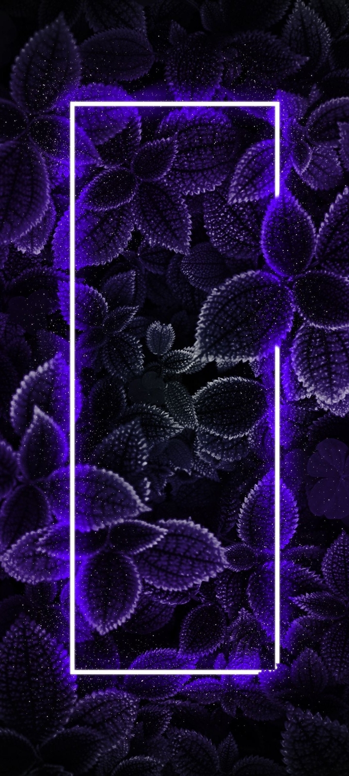 紫に光る四角 花模様 Oppo A5 Androidスマホ壁紙 待ち受け スマラン
