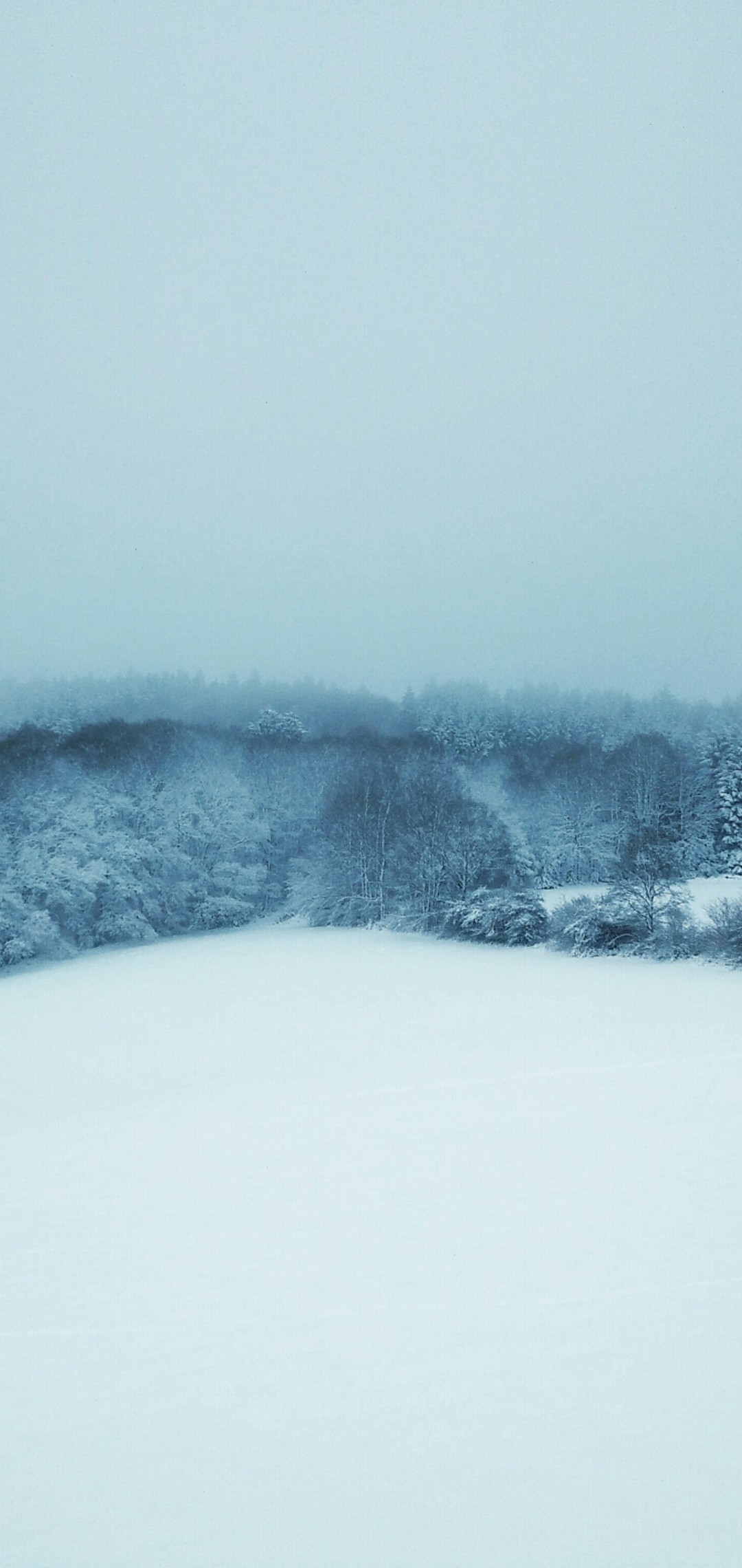 綺麗な雪景色 Arrows Rx 壁紙 待ち受け Sumaran