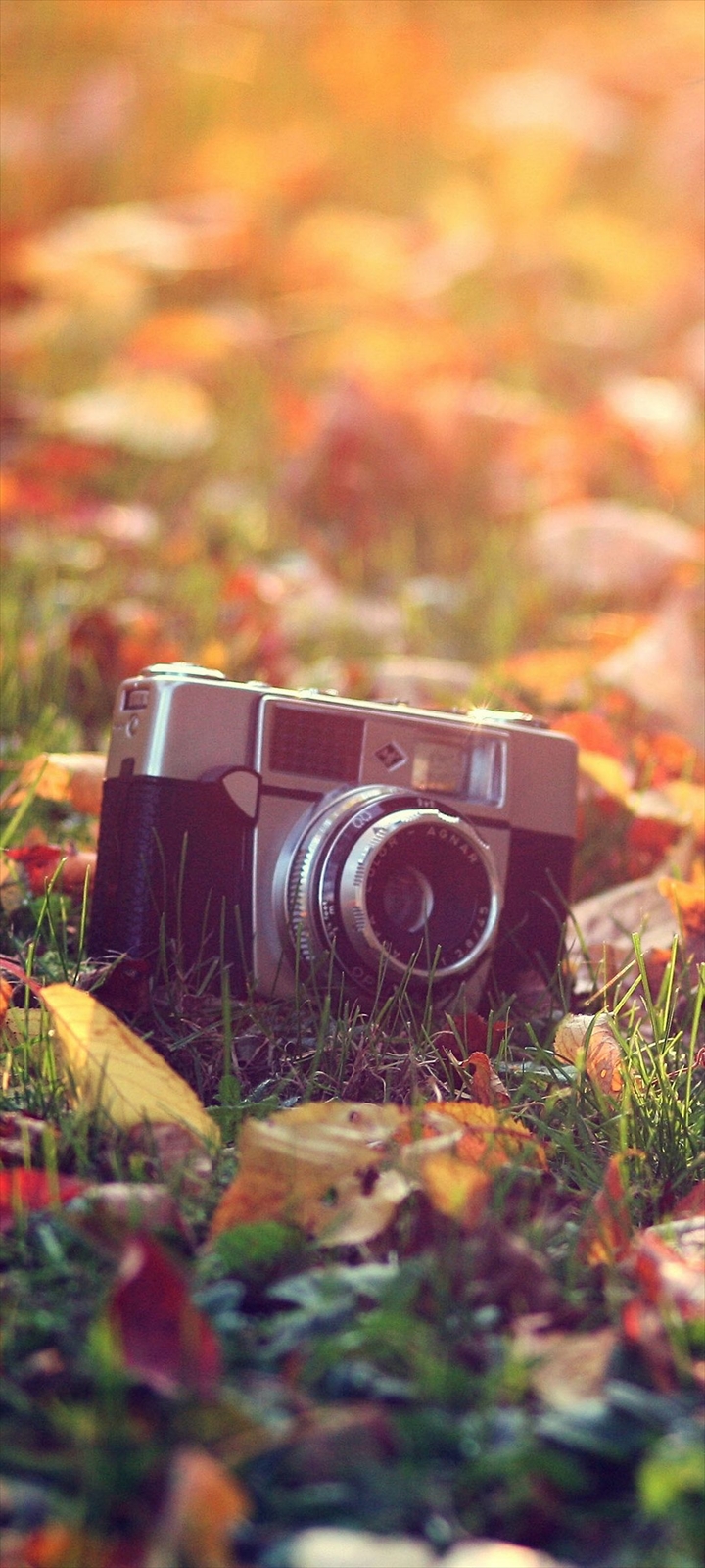 芝生と落ち葉と古びたカメラ Galaxy A32 5g 壁紙 待ち受け スマラン