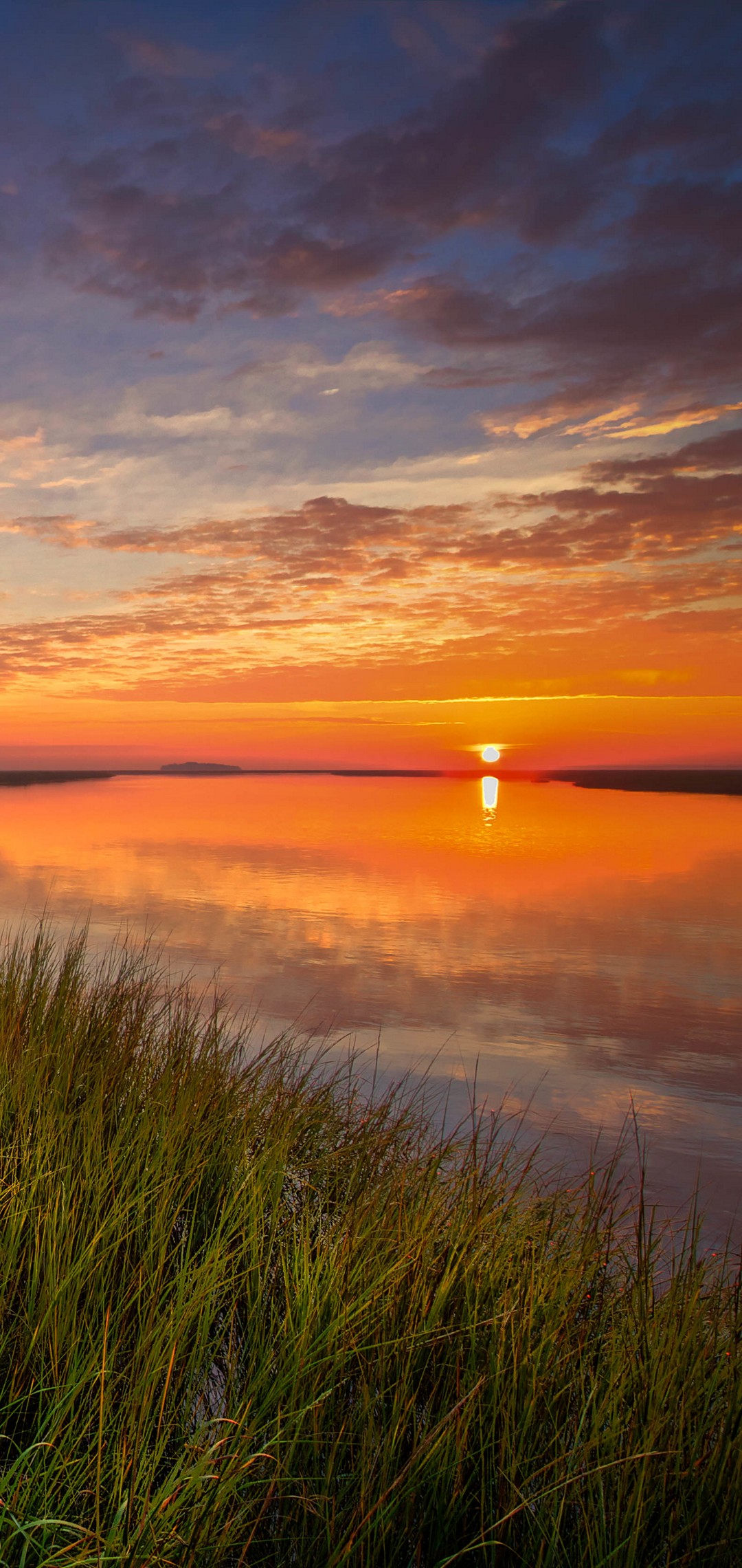 オレンジの夕日 川 水草 Aquos Sense5g 壁紙 待ち受け スマラン