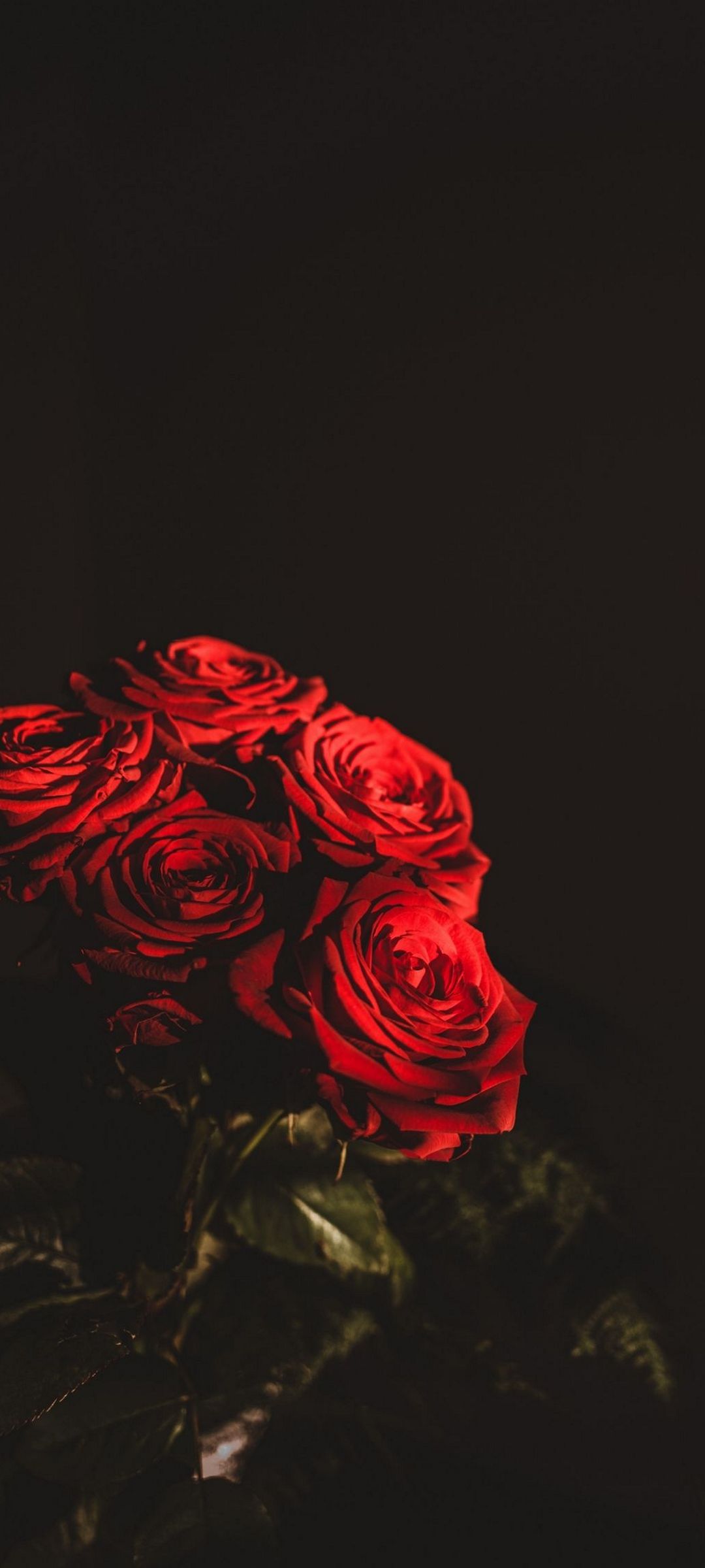 綺麗な赤い薔薇の束 Oppo Reno5 A 壁紙 待ち受け スマラン