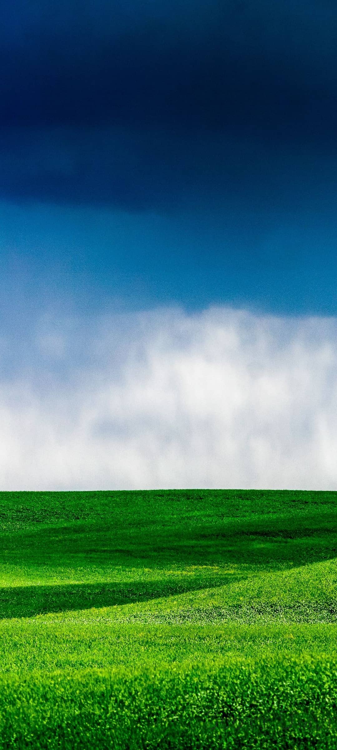青空 白い雲 綺麗な緑の草原 Oppo 3 Androidスマホ壁紙 待ち受け スマラン