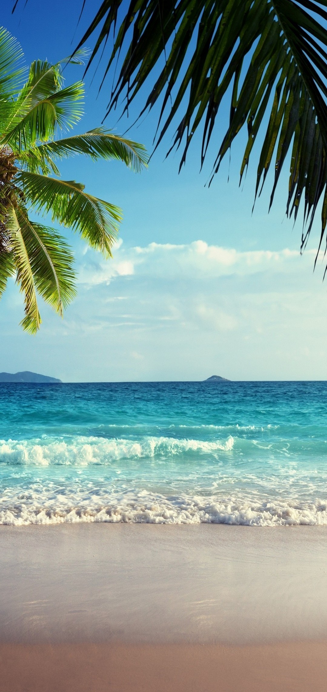 常夏 椰子の木と綺麗な海 Huawei P Lite 壁紙 待ち受け スマラン