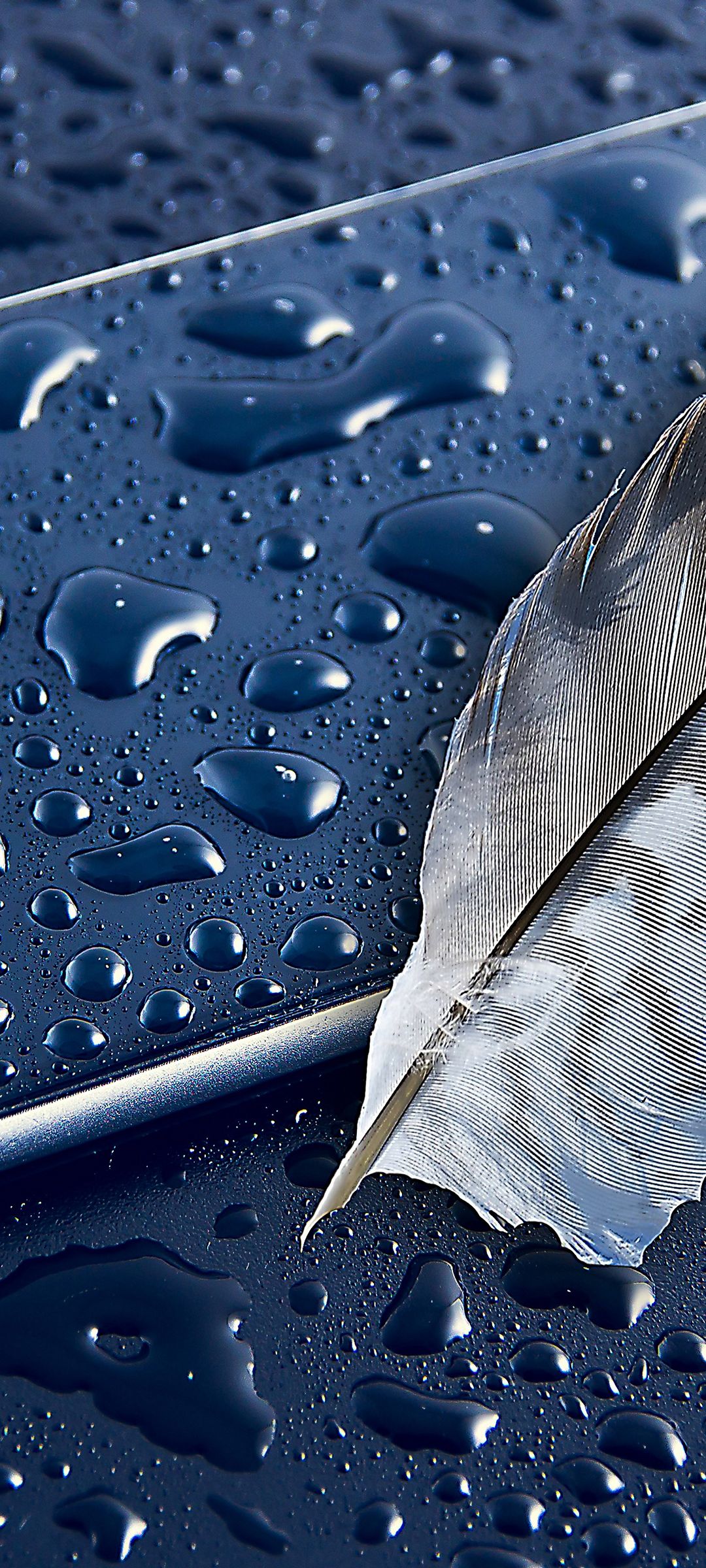 羽 水滴がついた青い金属 Oppo Reno3 A Androidスマホ壁紙 待ち受け スマラン