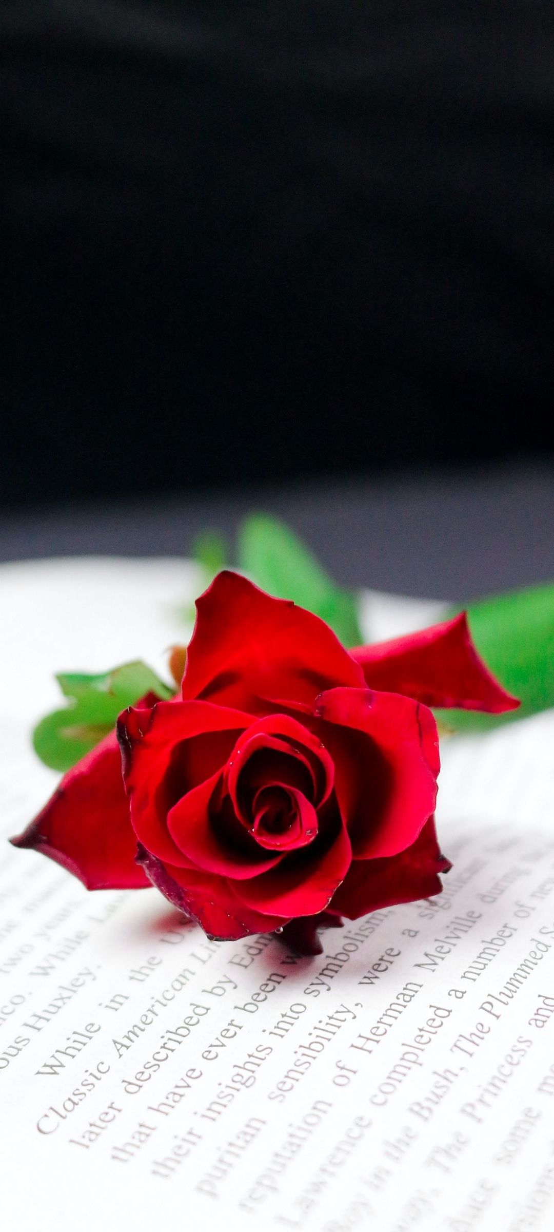 赤い薔薇 英語の紙 Redmi Note 10 Pro Androidスマホ壁紙 待ち受け スマラン