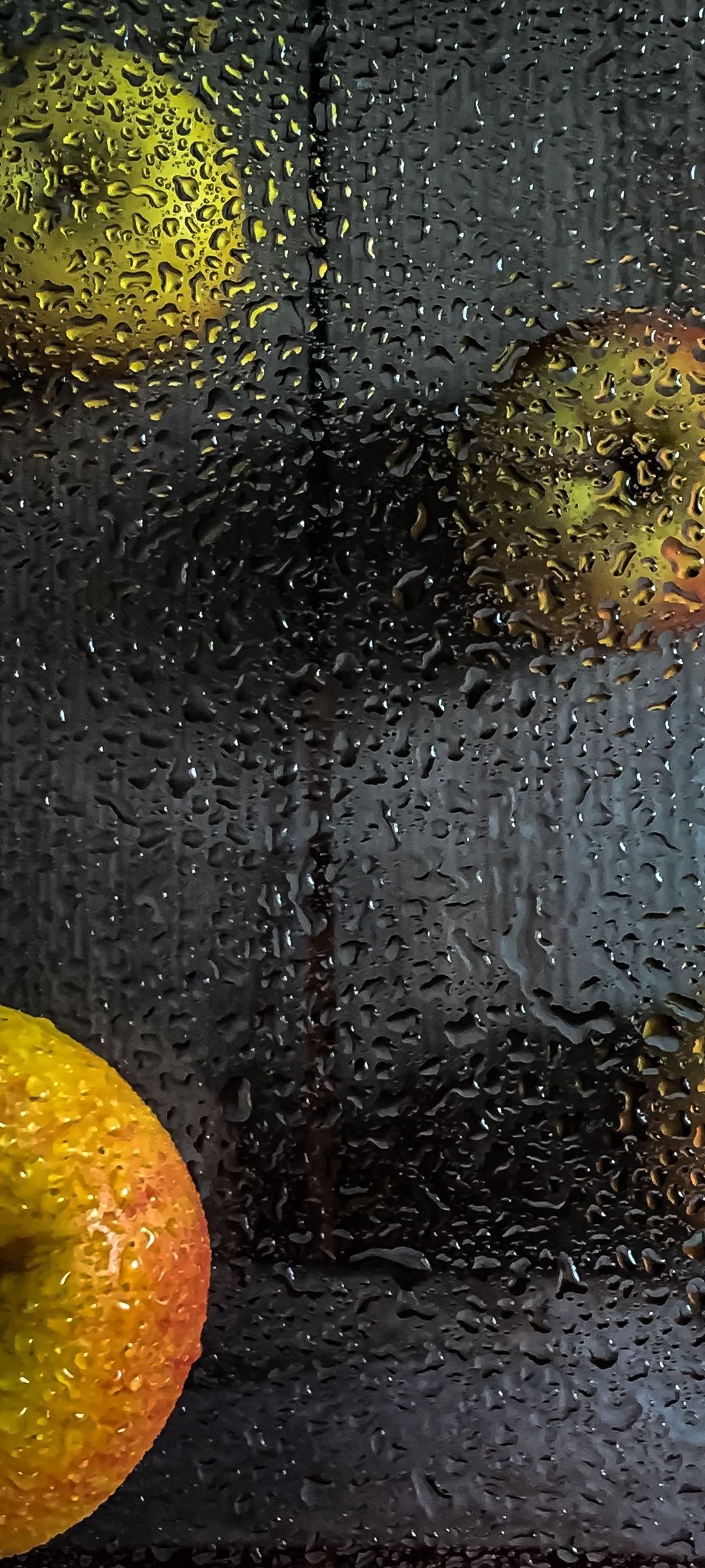 林檎と濡れたガラス Zenfone 7 Pro Androidスマホ壁紙 待ち受け スマラン