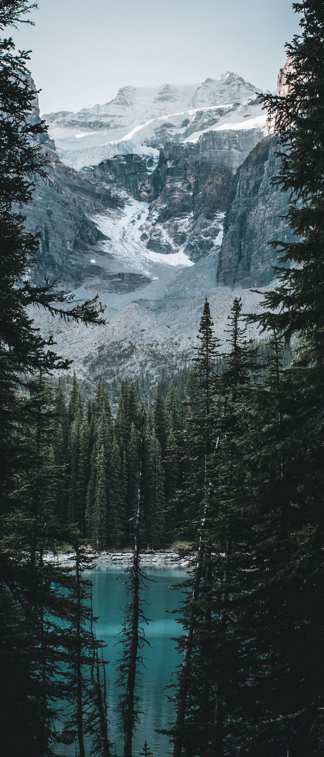 森林に囲まれた湖と雪山 Xperia 5 Ii Androidスマホ壁紙 待ち受け スマラン
