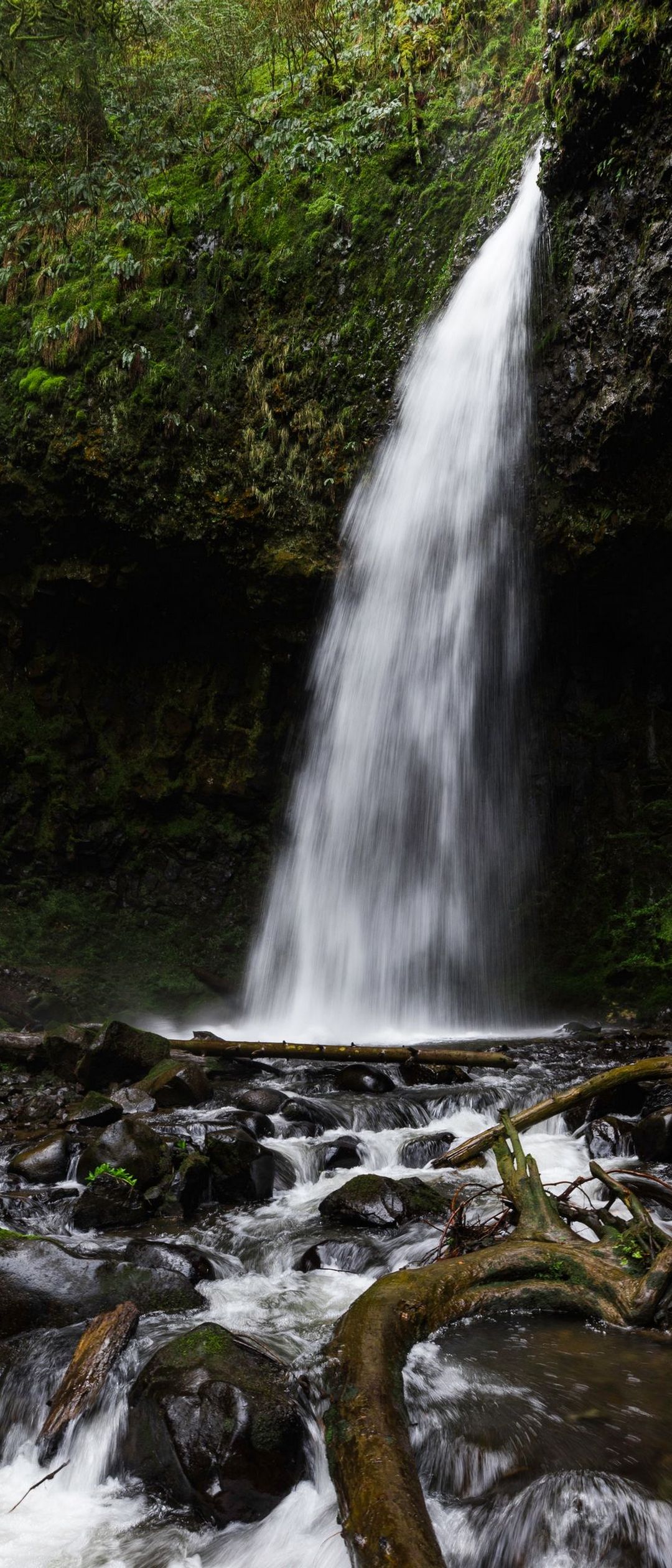 森 川の中の白い滝 Xperia 8 Androidスマホ壁紙 待ち受け スマラン