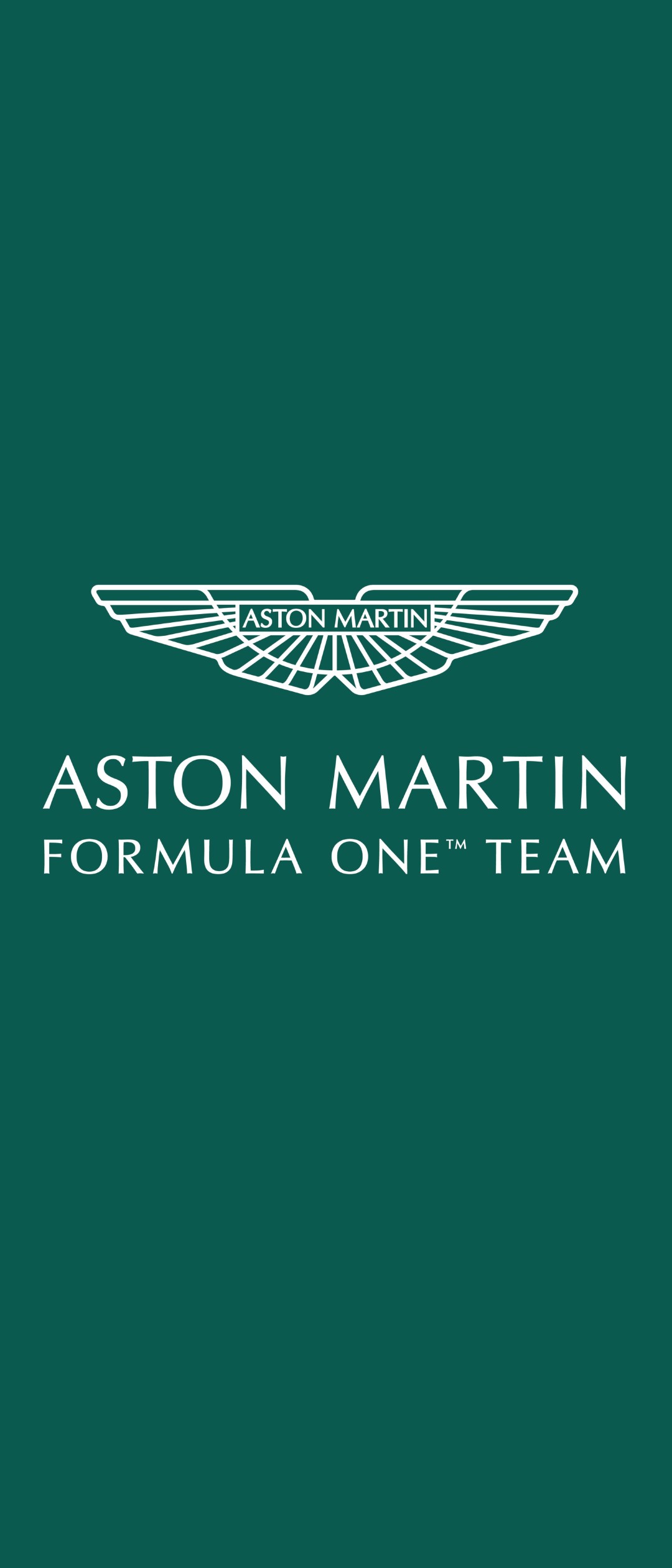 アストン マーチン Aston Martin Xperia 8 Lite Androidスマホ壁紙 待ち受け スマラン